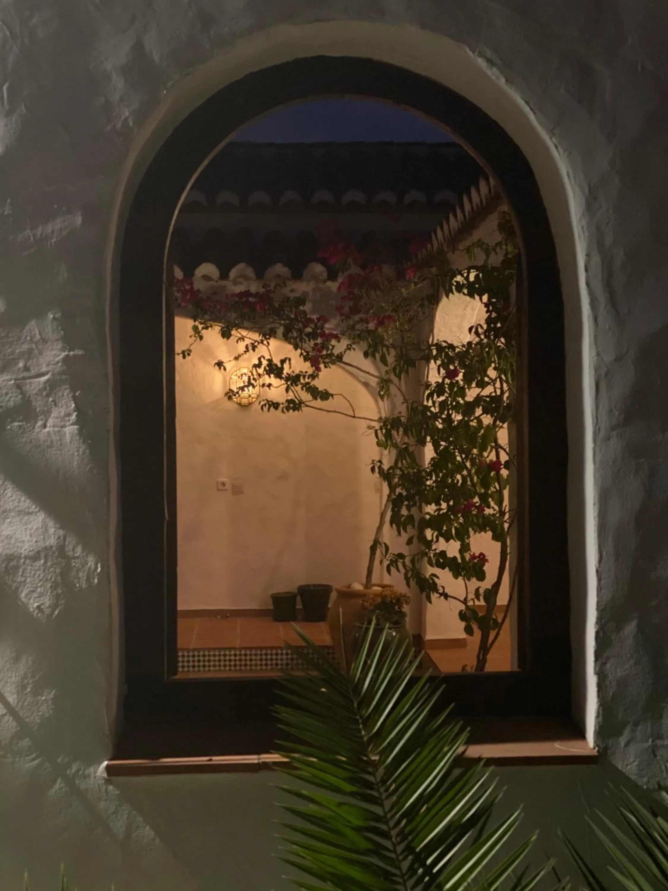 Patio in La Casa del Burro