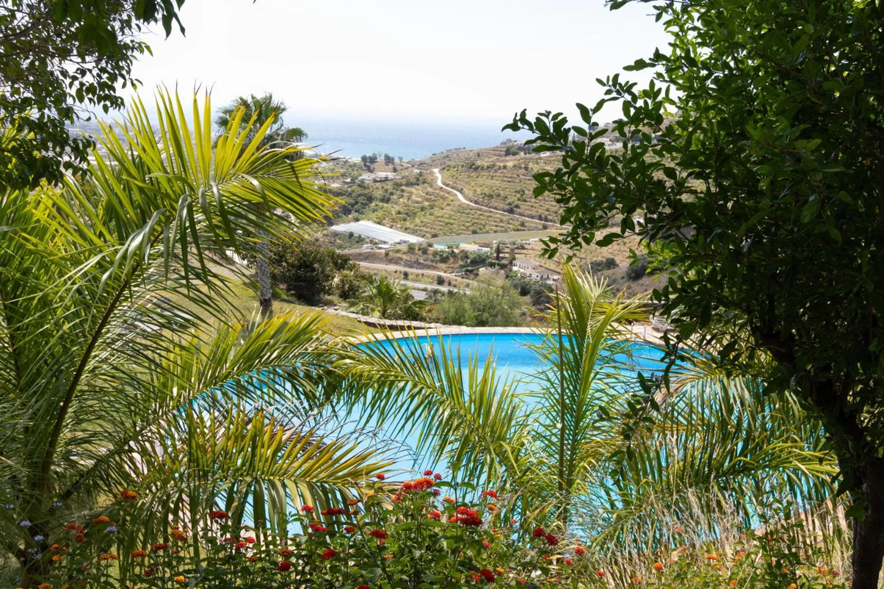 Pool view in La Casa del Burro