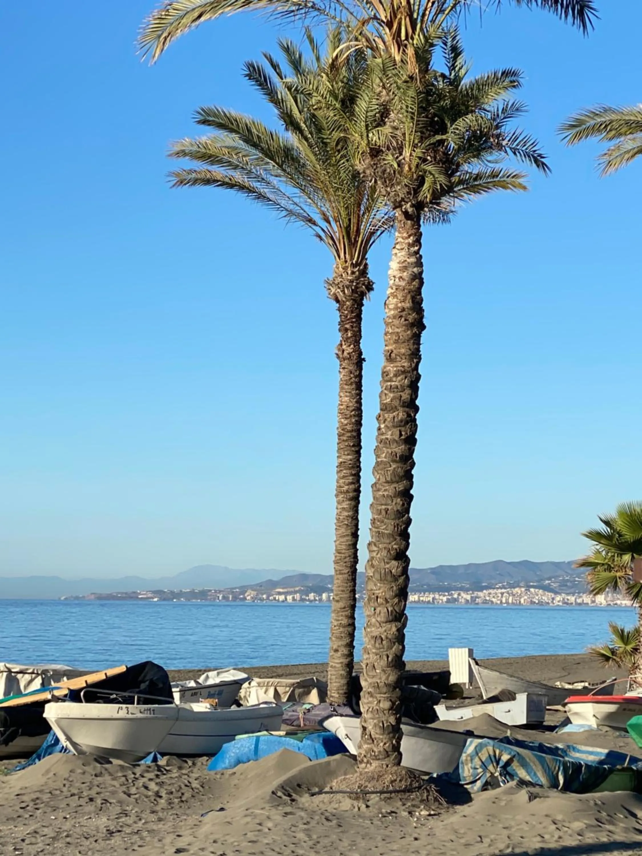 Natural landscape in La Casa del Burro
