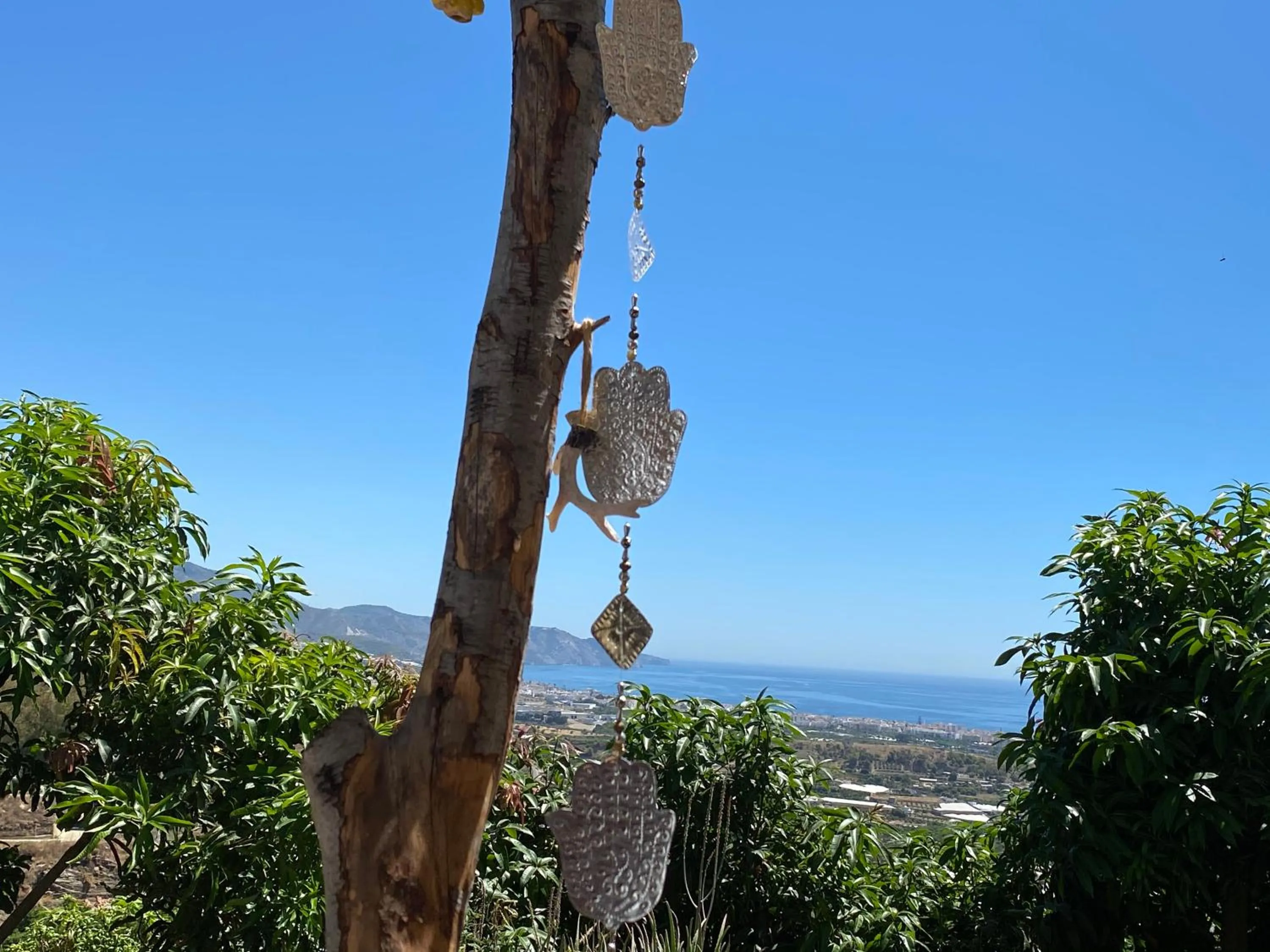 View (from property/room) in La Casa del Burro