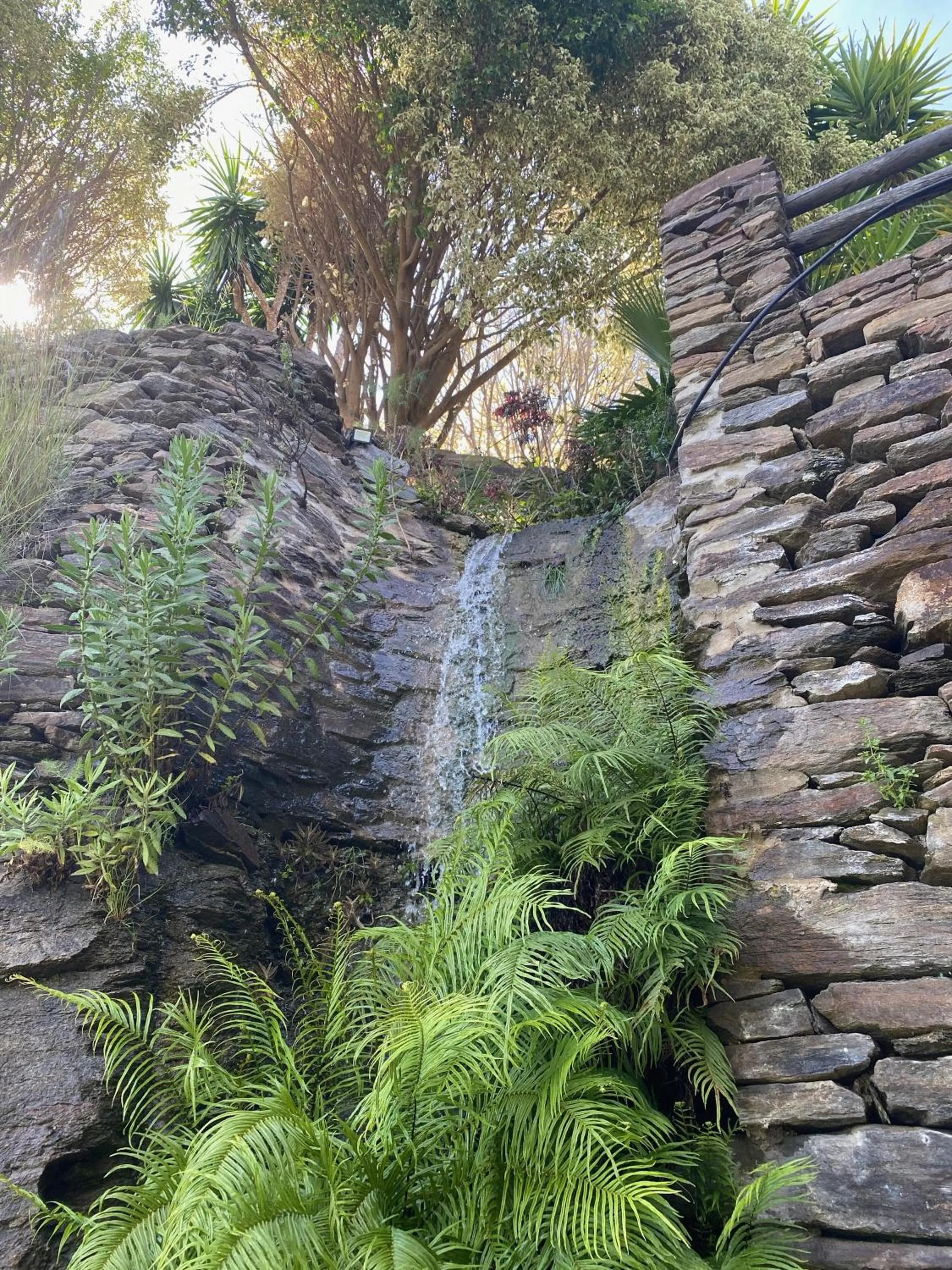 Garden in La Casa del Burro
