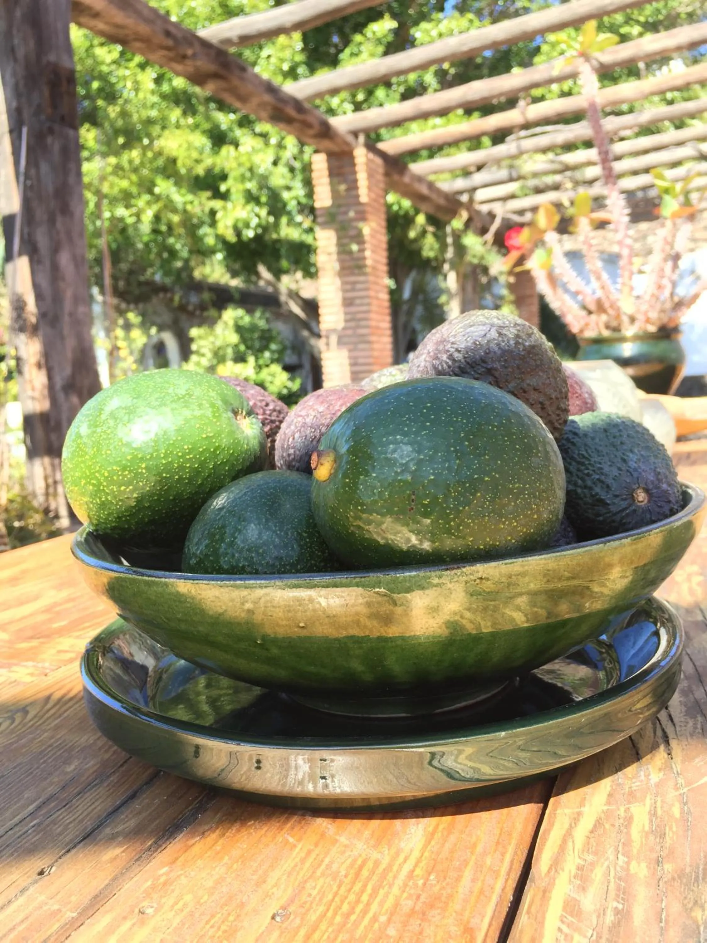 Garden in La Casa del Burro