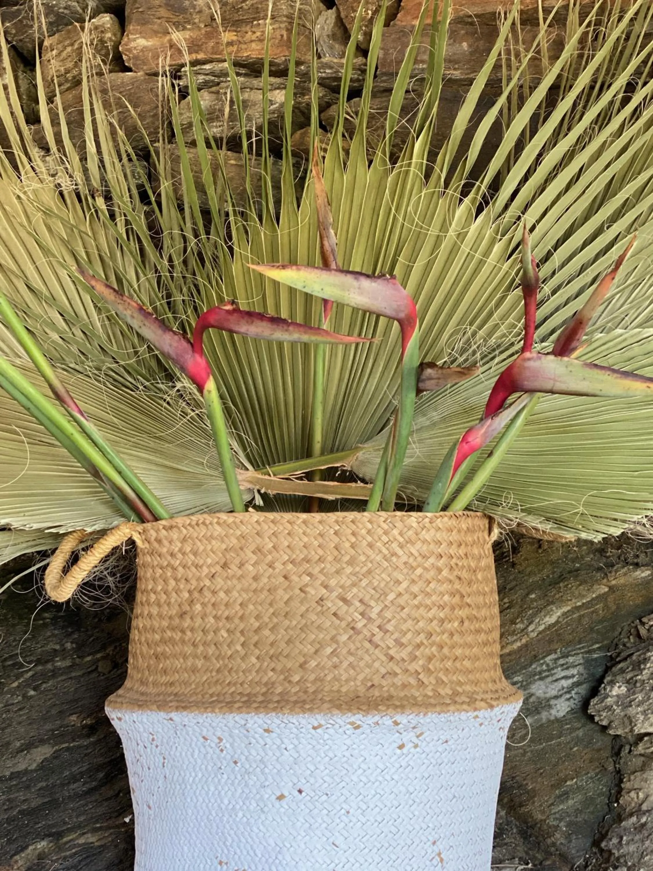 Decorative detail in La Casa del Burro