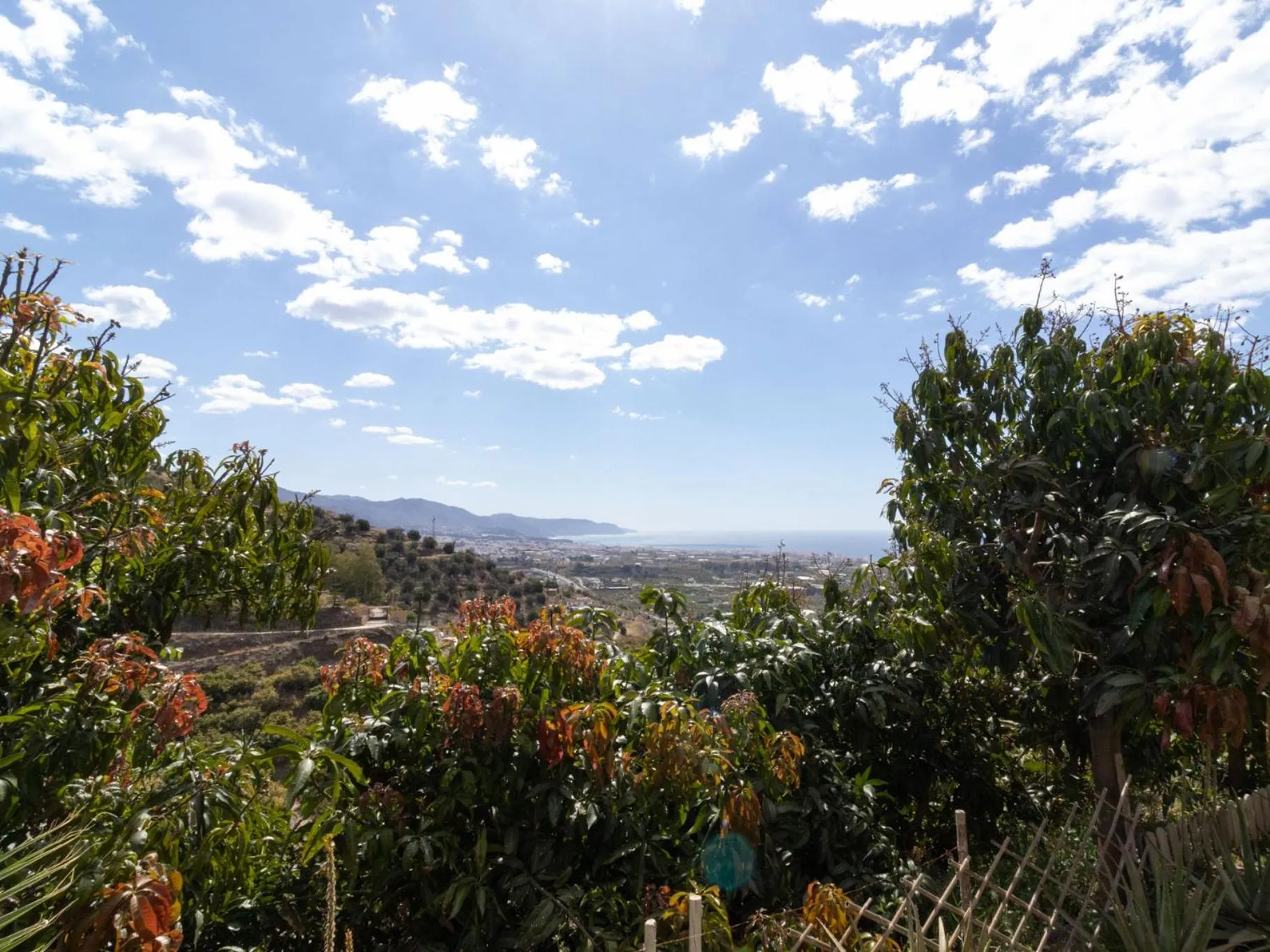 Natural landscape in La Casa del Burro