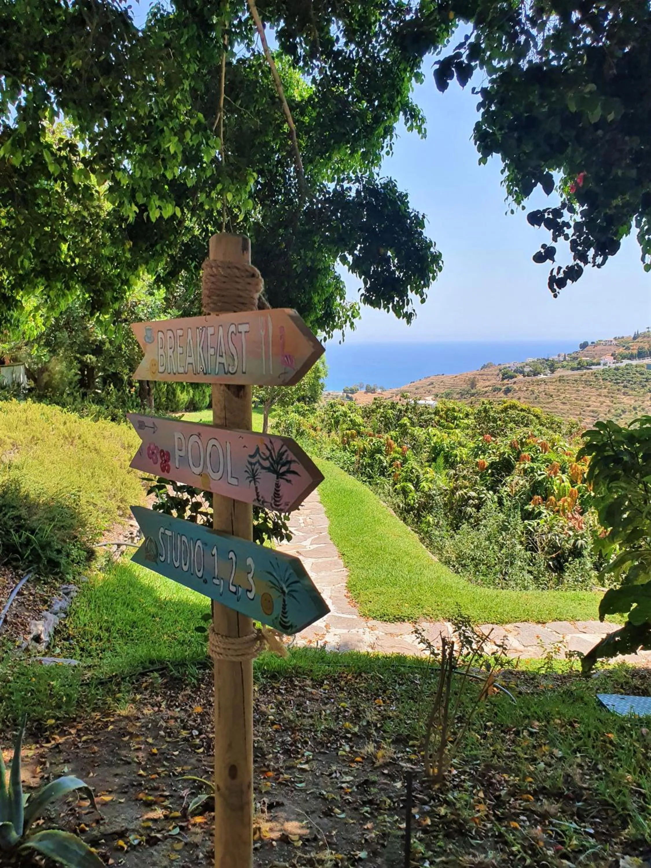 Garden in La Casa del Burro
