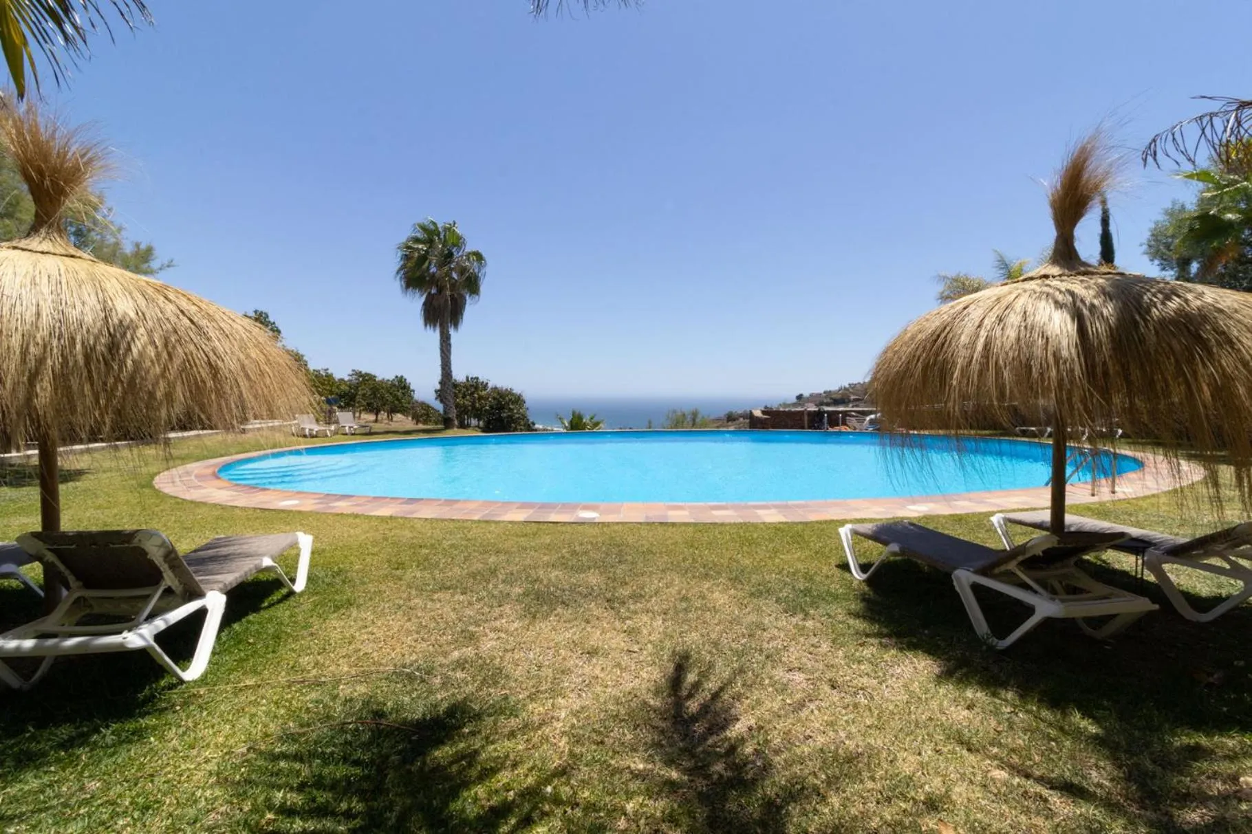 Garden in La Casa del Burro