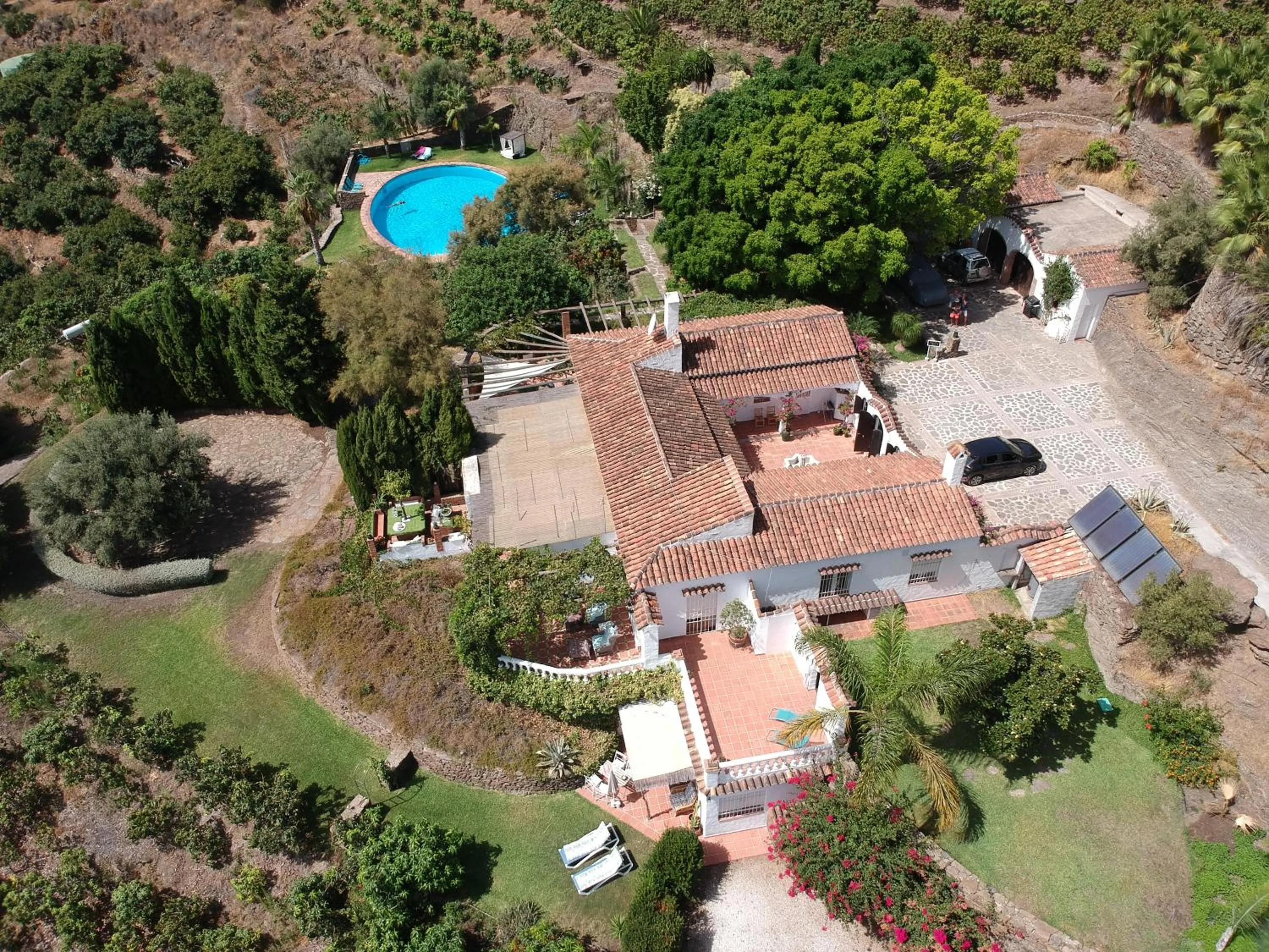 Patio in La Casa del Burro