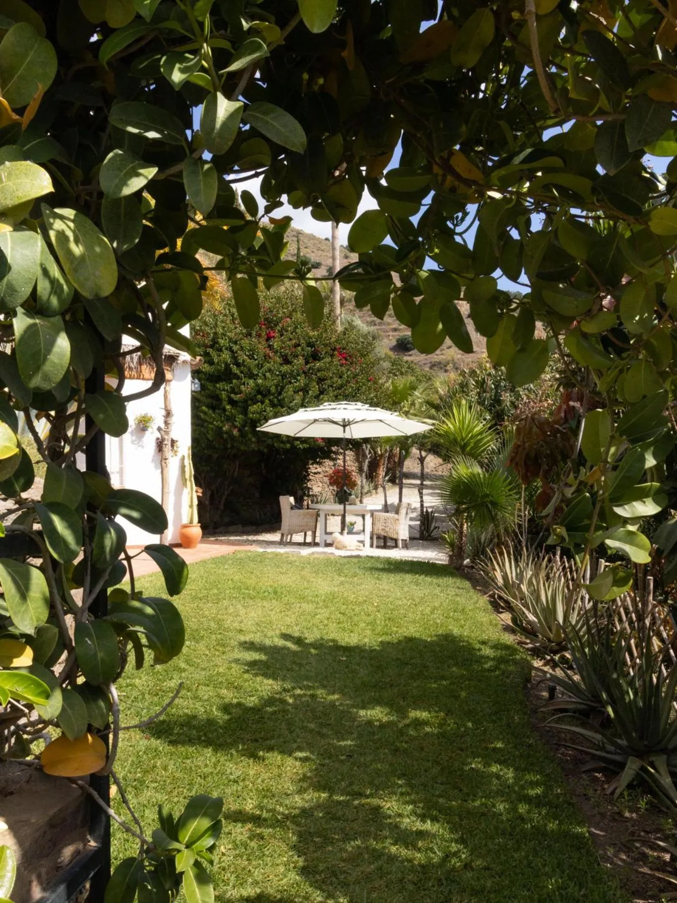 Natural landscape in La Casa del Burro