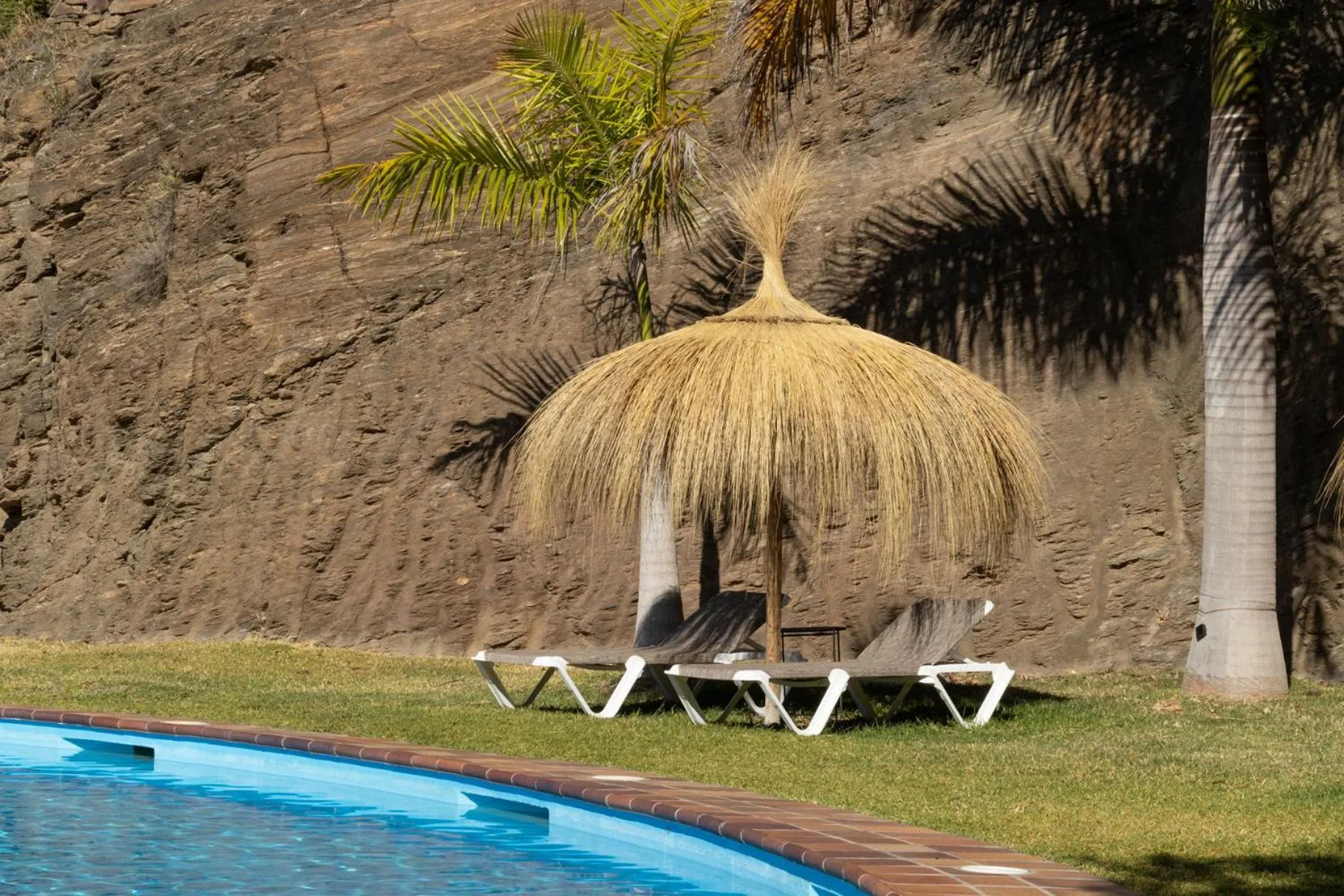 Garden in La Casa del Burro