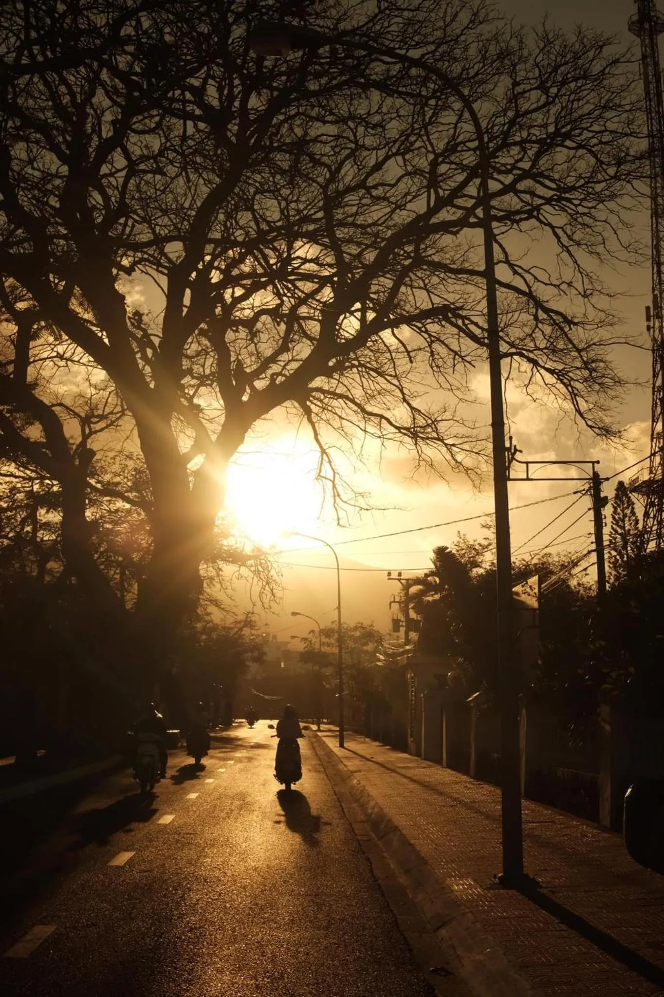 Con Son Island Hotel