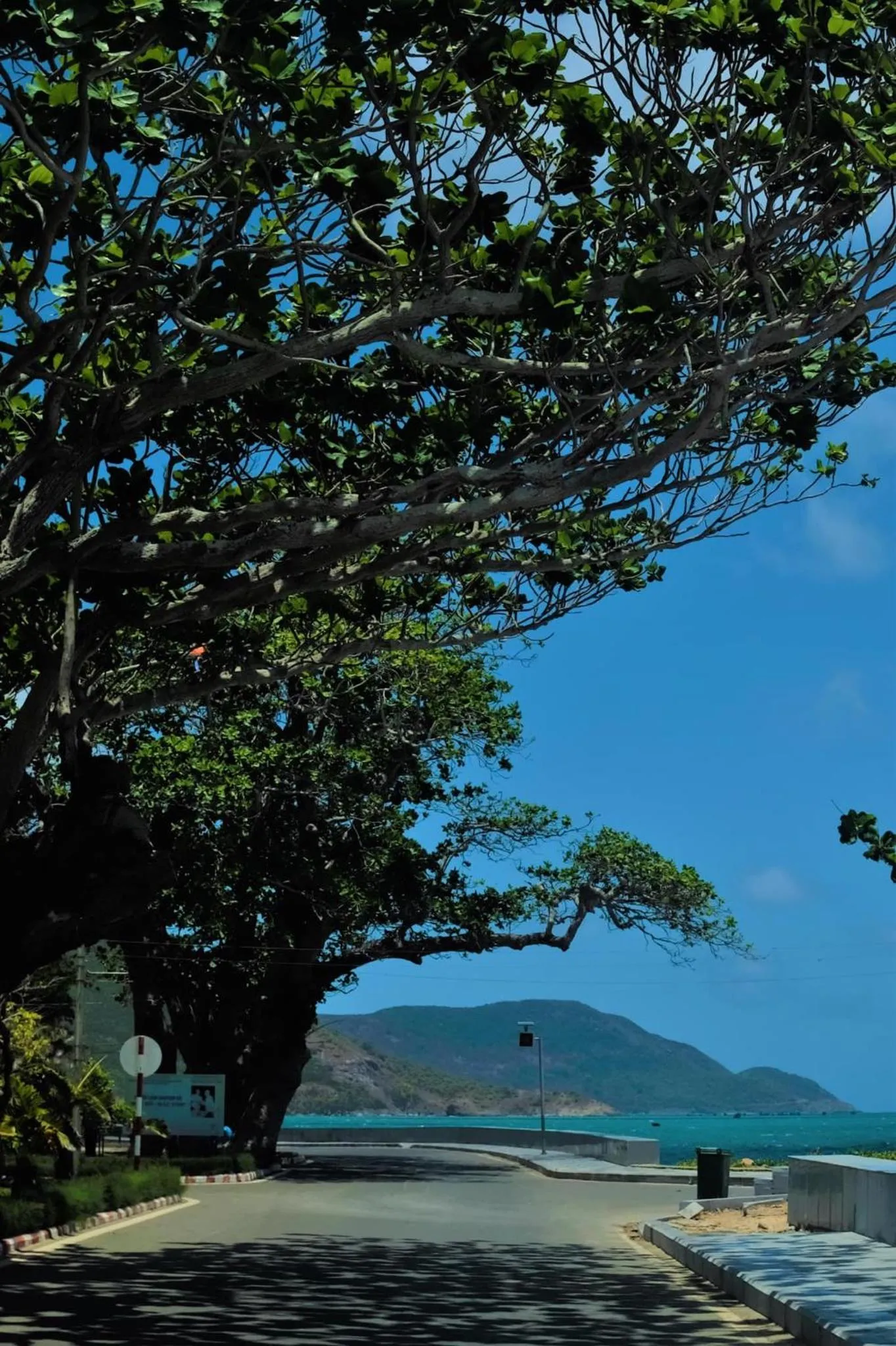 Con Son Island Hotel