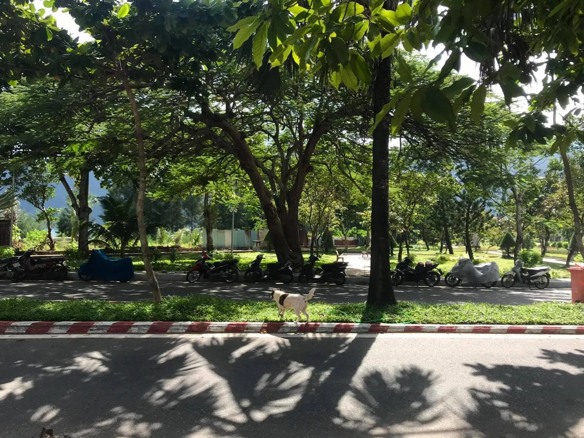 Con Son Island Hotel