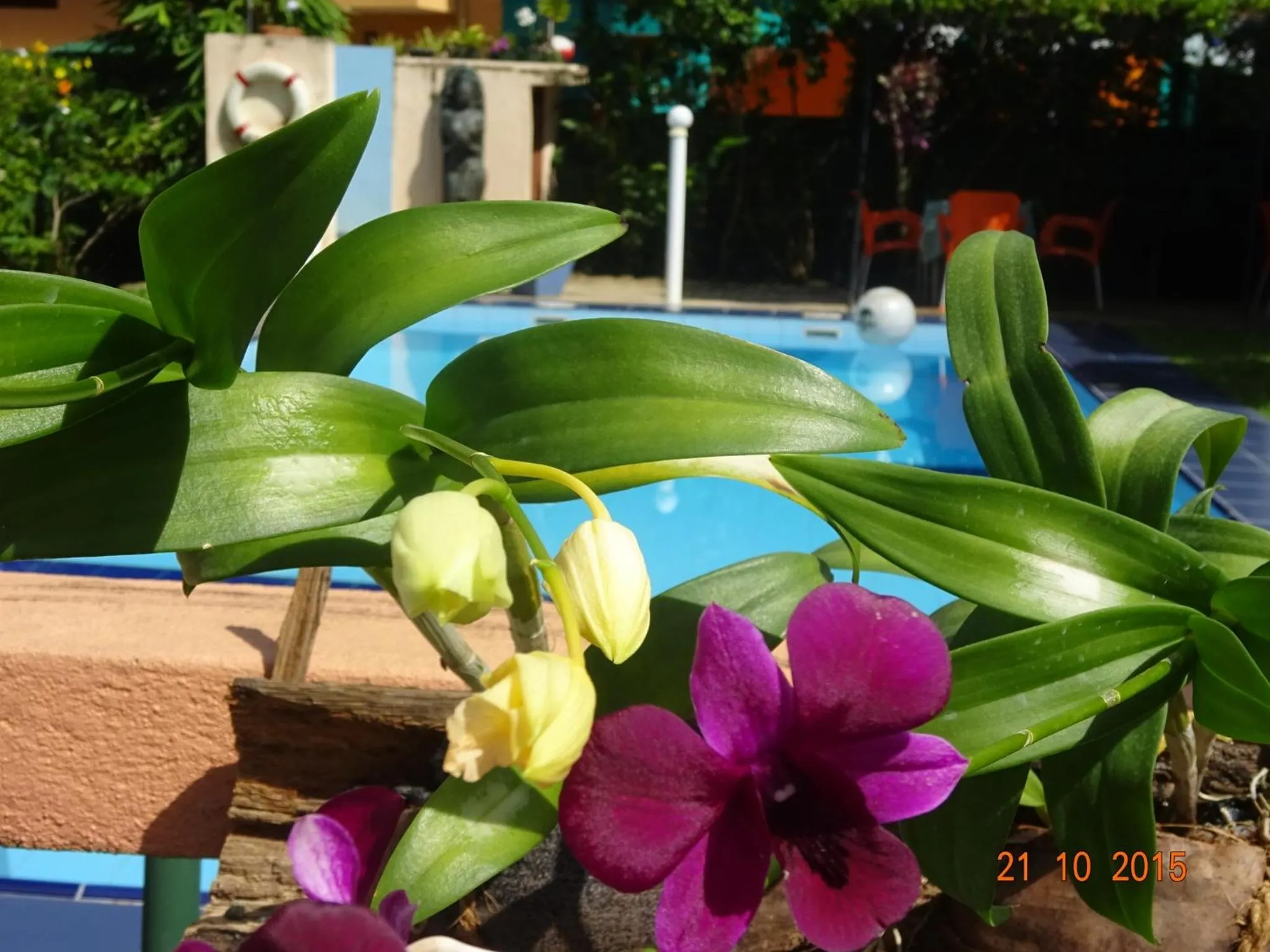 Hilda Guest House