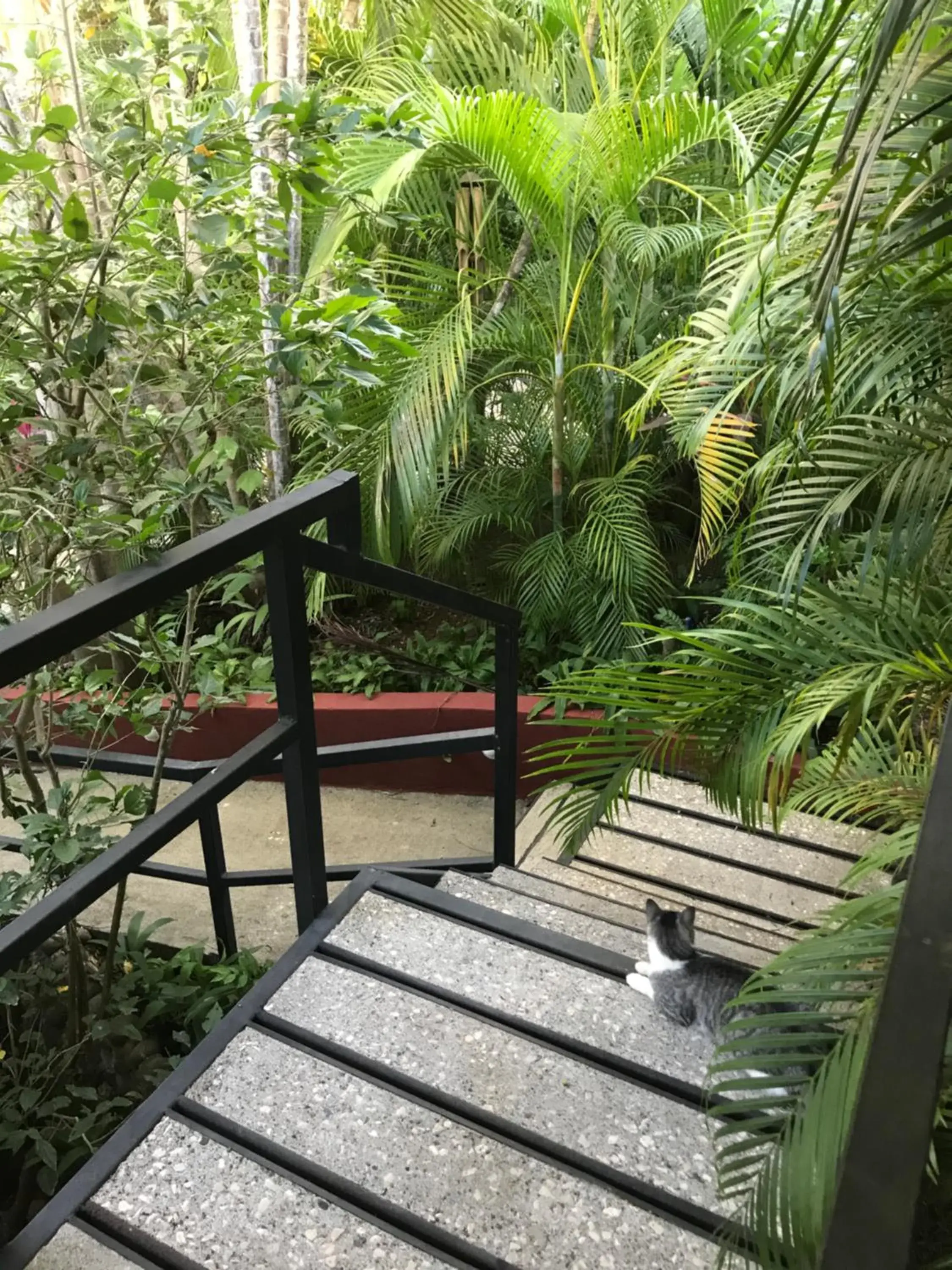 Standard Garden View Room in Tamarindo Village Hotel Standard Garden View Room in Tamarindo Village Hotel
