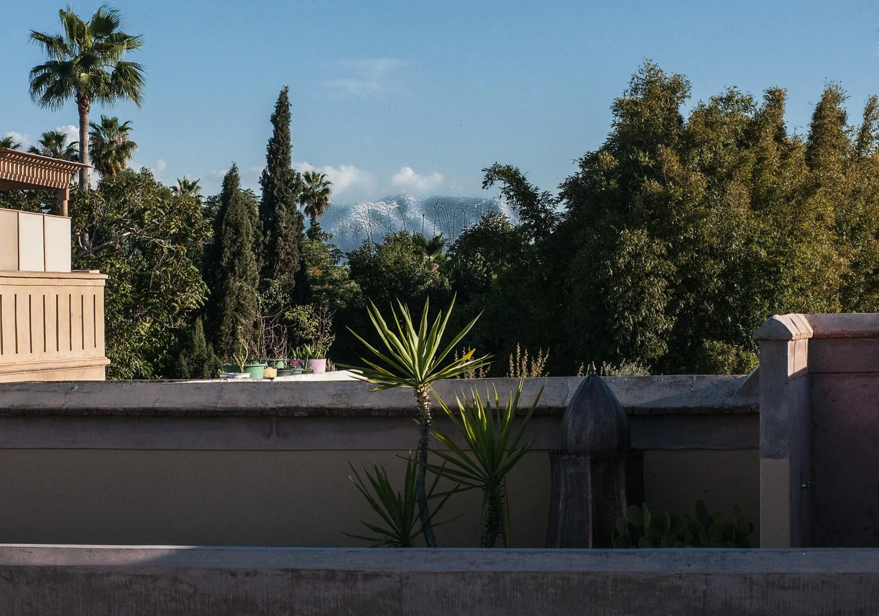 Day in Riad Jaaneman