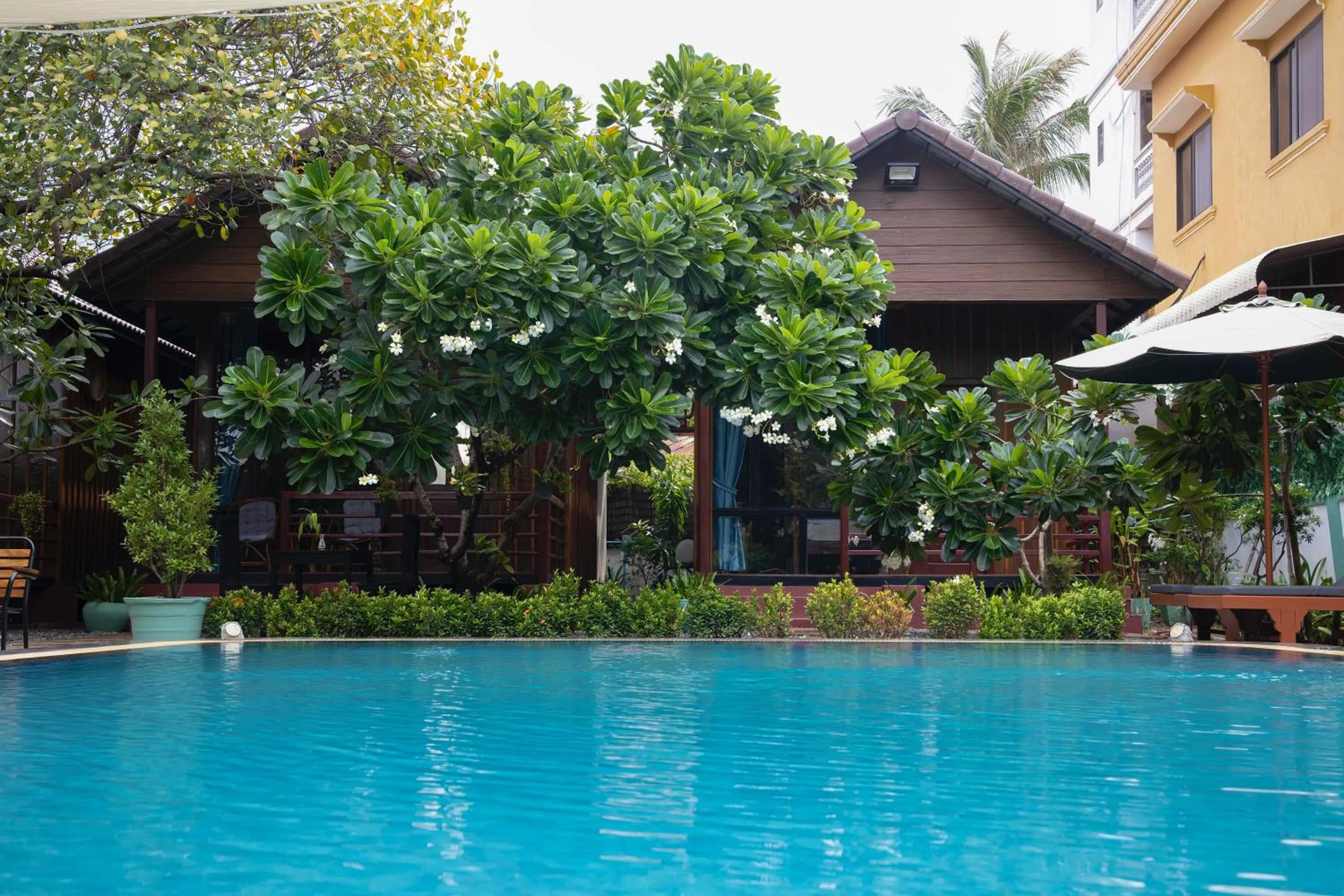 Swimming pool in Habana Angkor Boutique Hotel