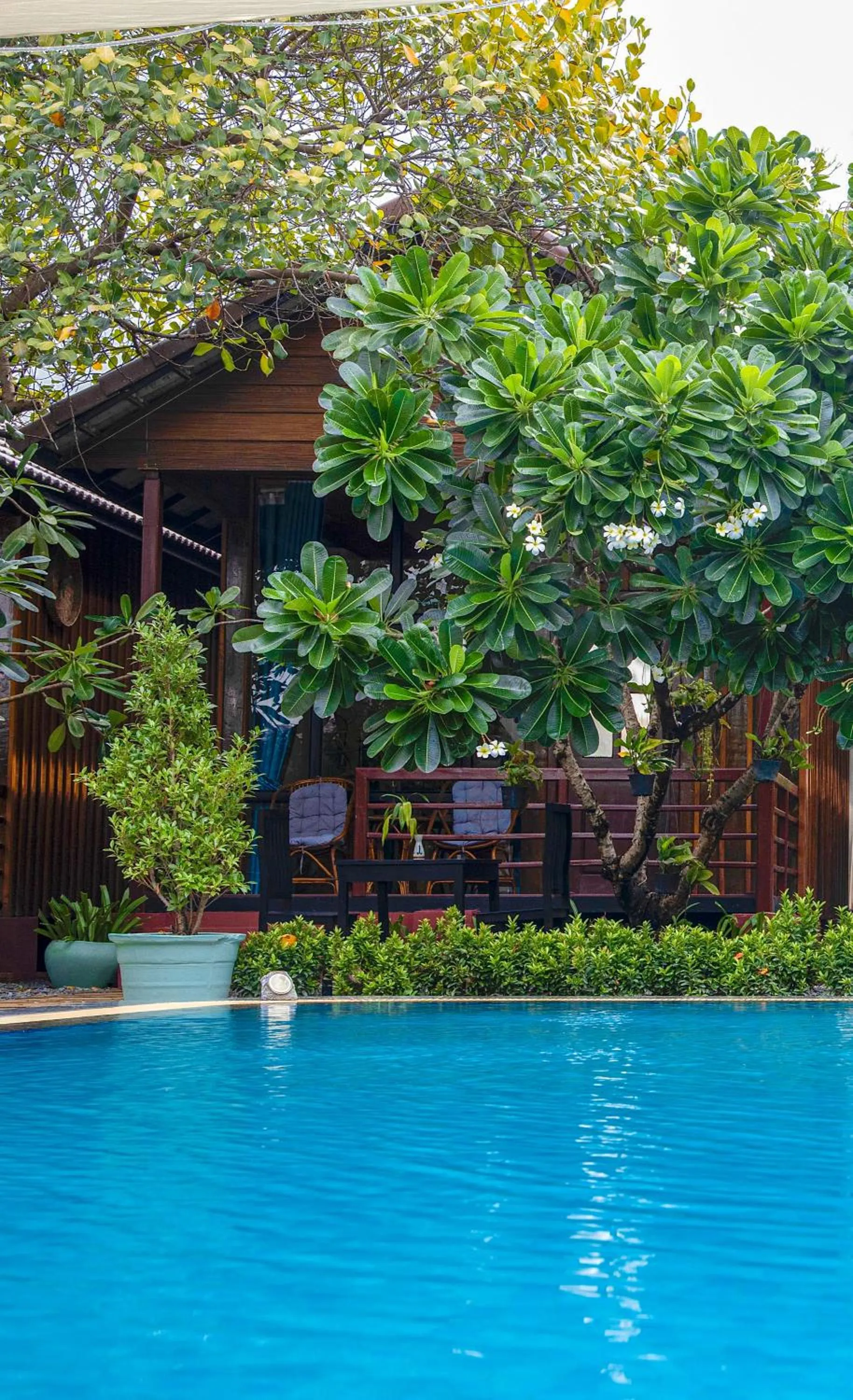 Swimming pool in Habana Angkor Boutique Hotel