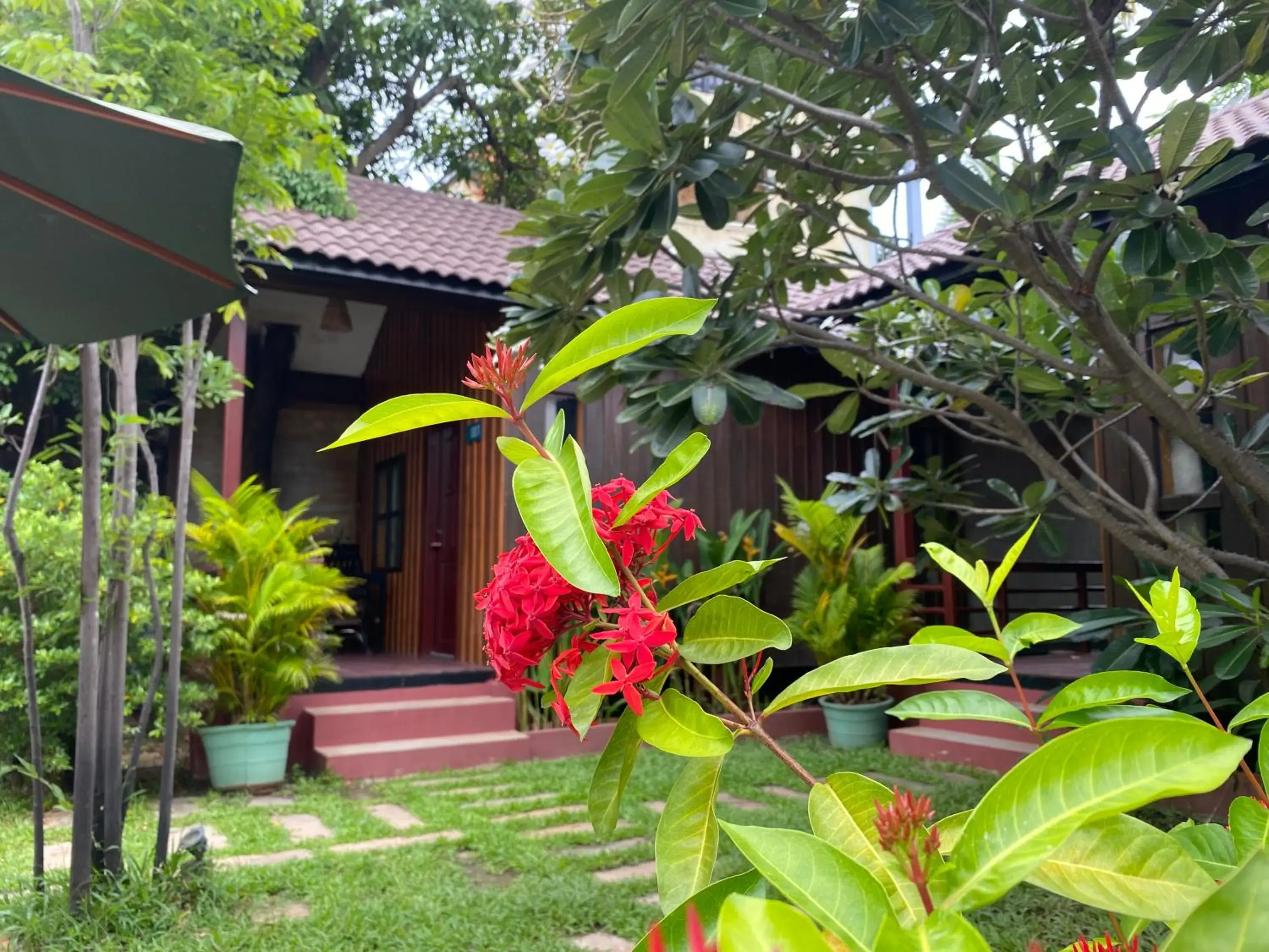Garden view in Habana Angkor Boutique Hotel Garden view in Habana Angkor Boutique Hotel
