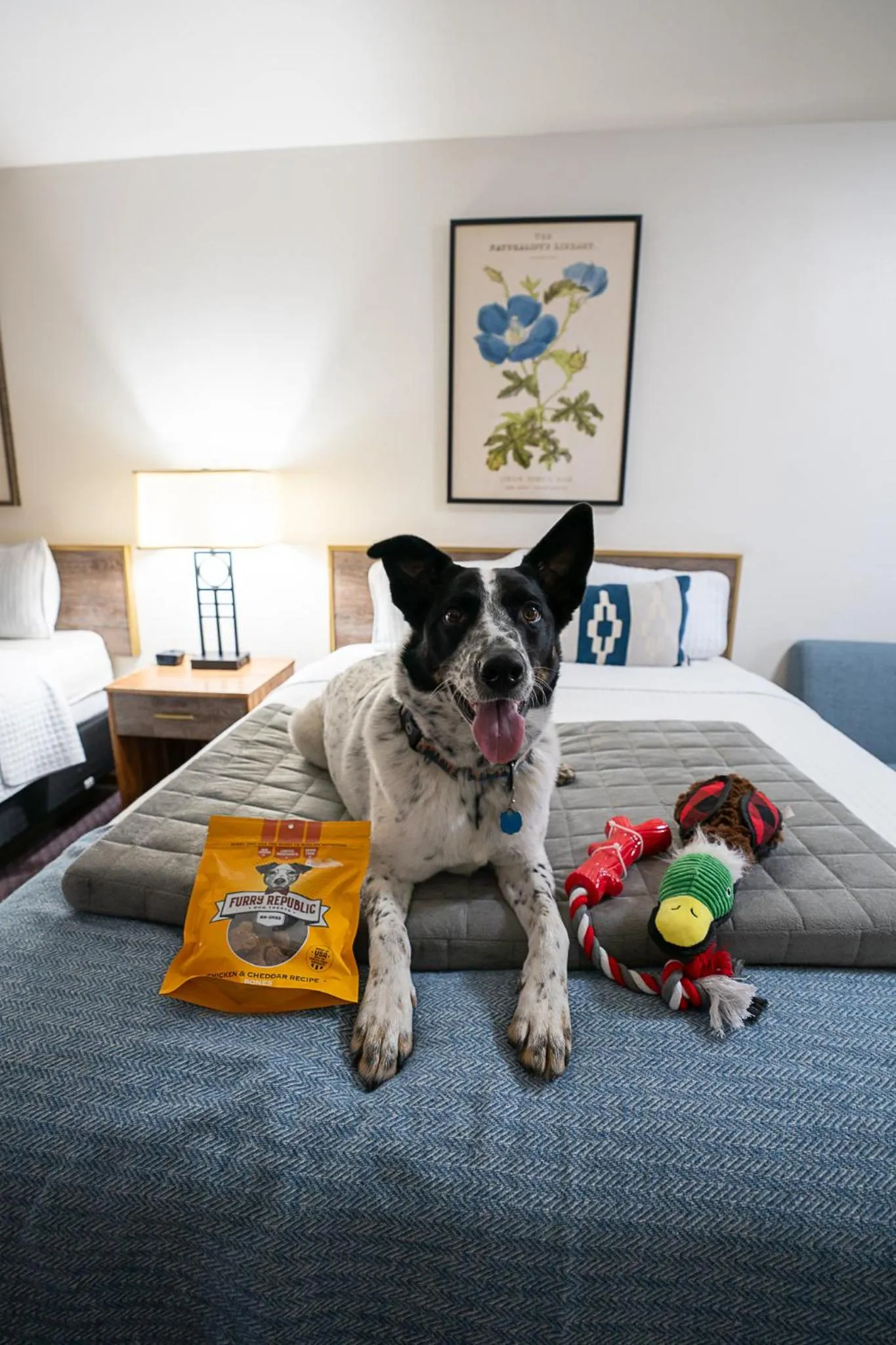 Pets in Hagerman Valley Inn