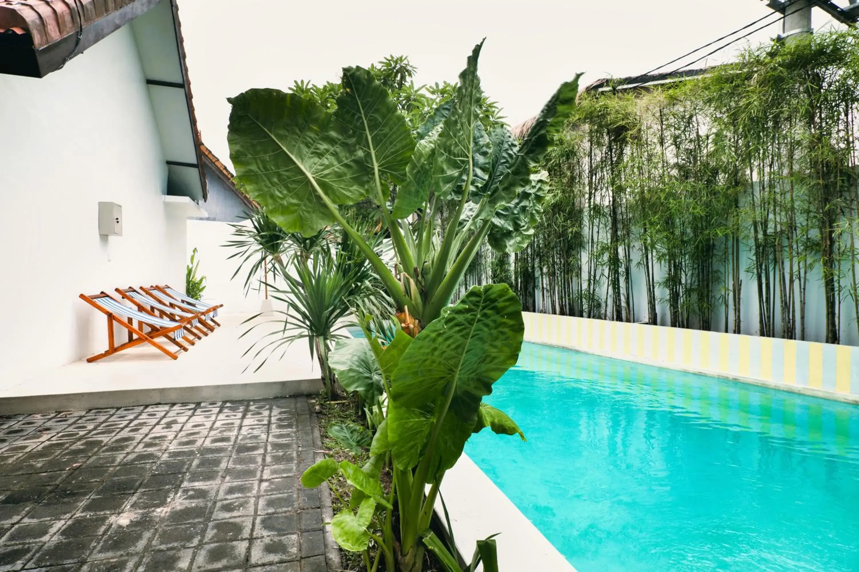 Swimming pool in Canggu Studios Downtown Managed by CPM Bali Swimming pool in Canggu Studios Downtown Managed by CPM Bali
