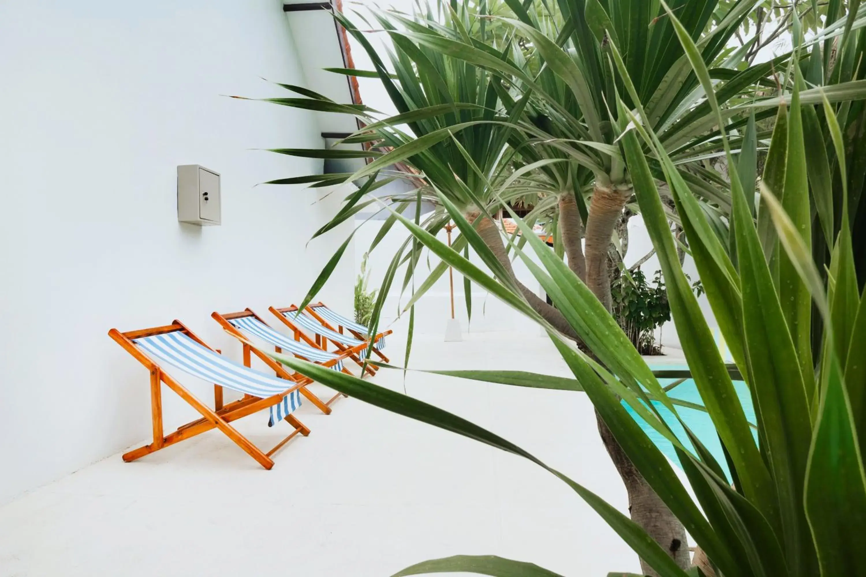 Swimming pool in Canggu Studios Downtown Managed by CPM Bali Swimming pool in Canggu Studios Downtown Managed by CPM Bali