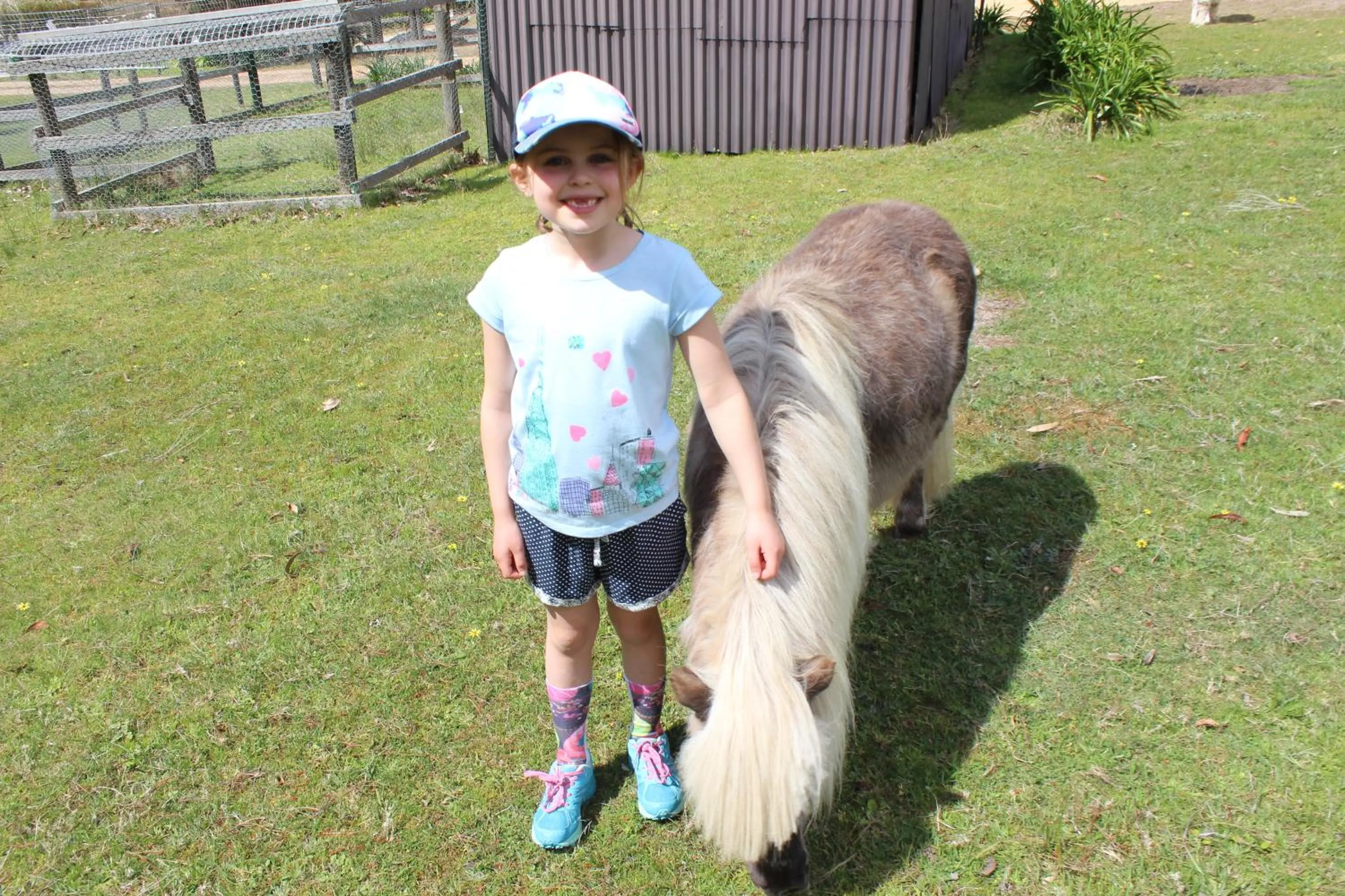Animals in Bells Estate Great Ocean Road Cottages