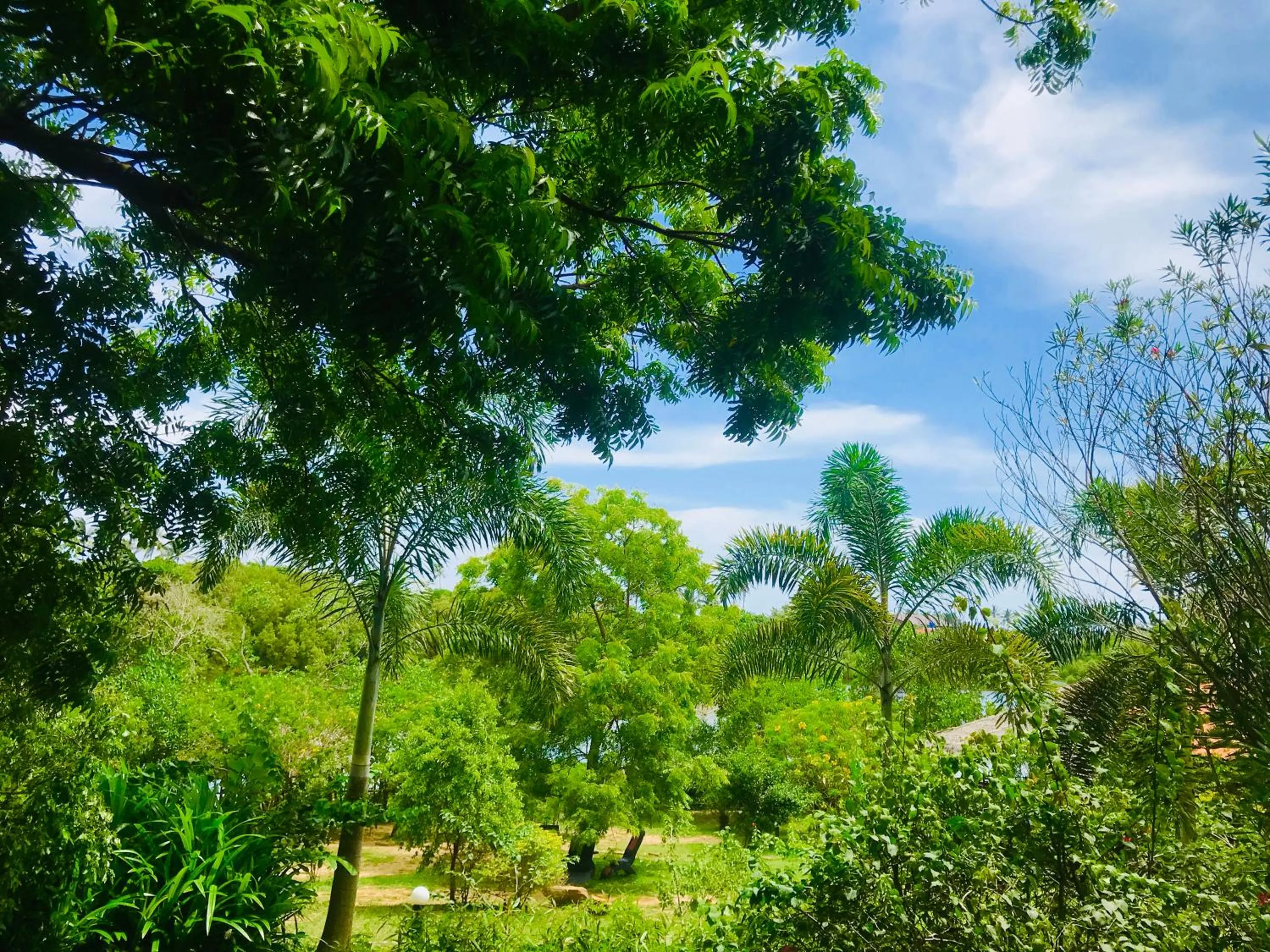 Superior Double Room with Lake View - single occupancy in Eagles Nest Cabanas