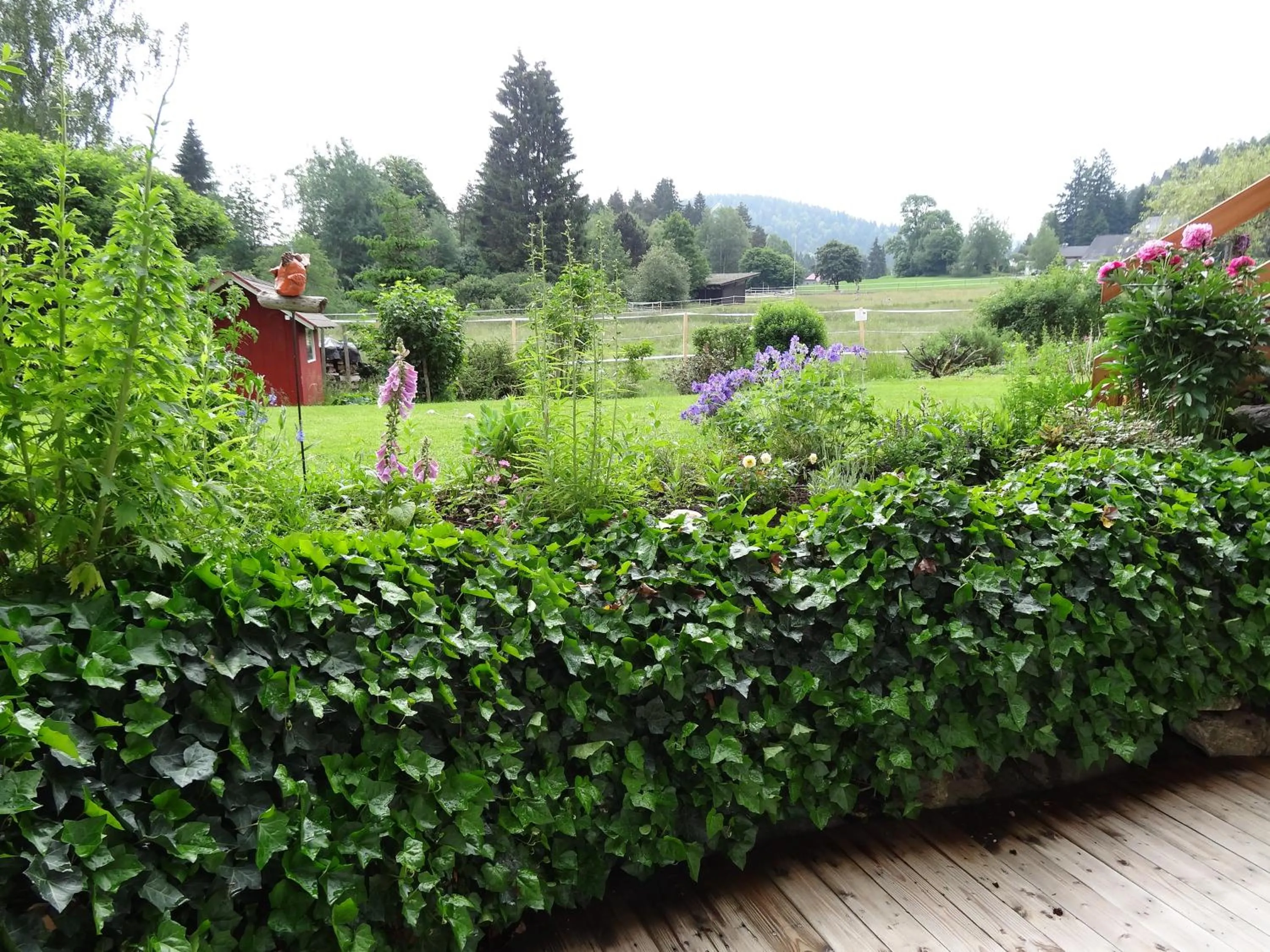 Garden in Ferienwohnung Mattenweg 1a