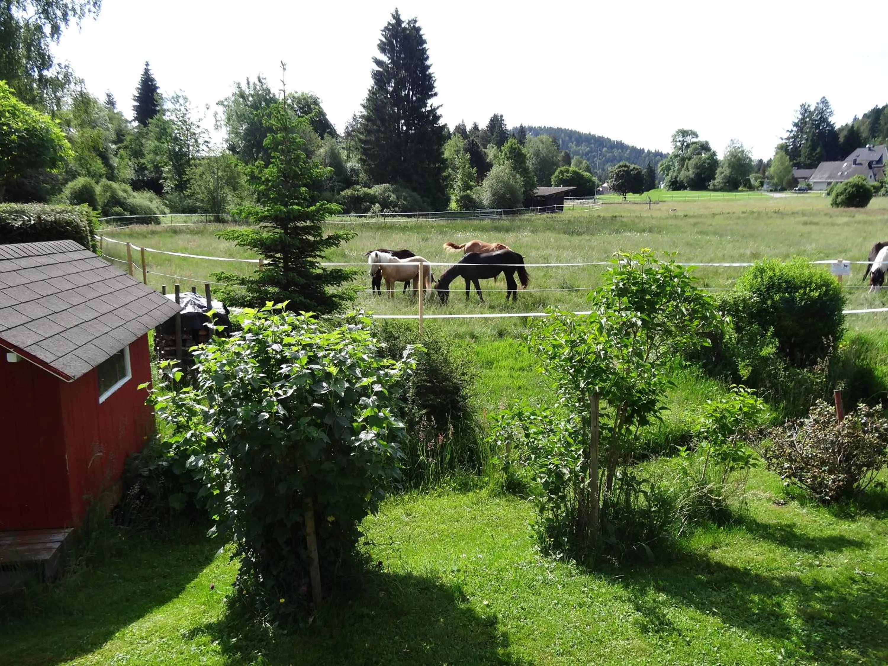 Garden in Ferienwohnung Mattenweg 1a