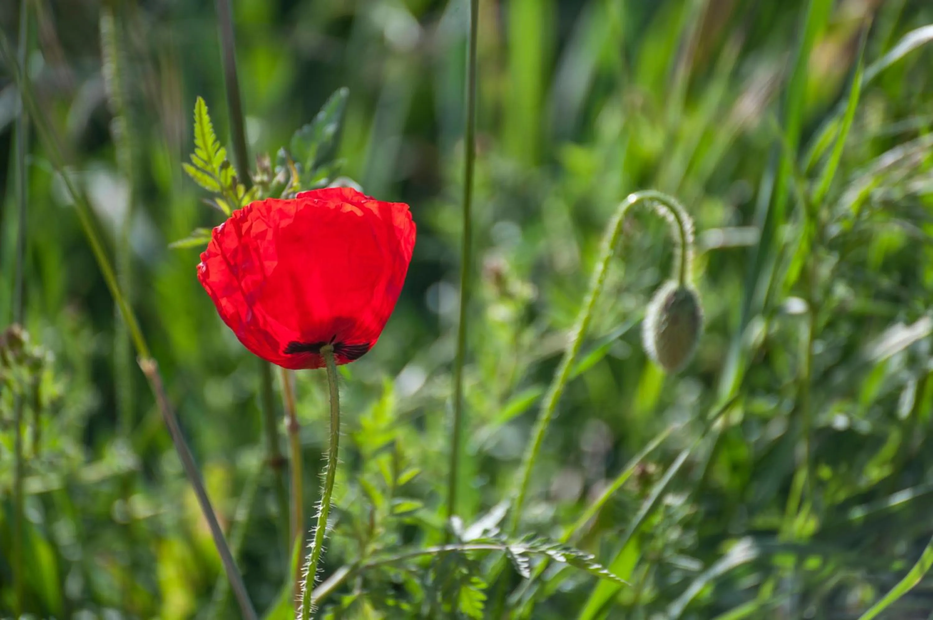 Natural landscape in Albergue turístico "La Fábrica"