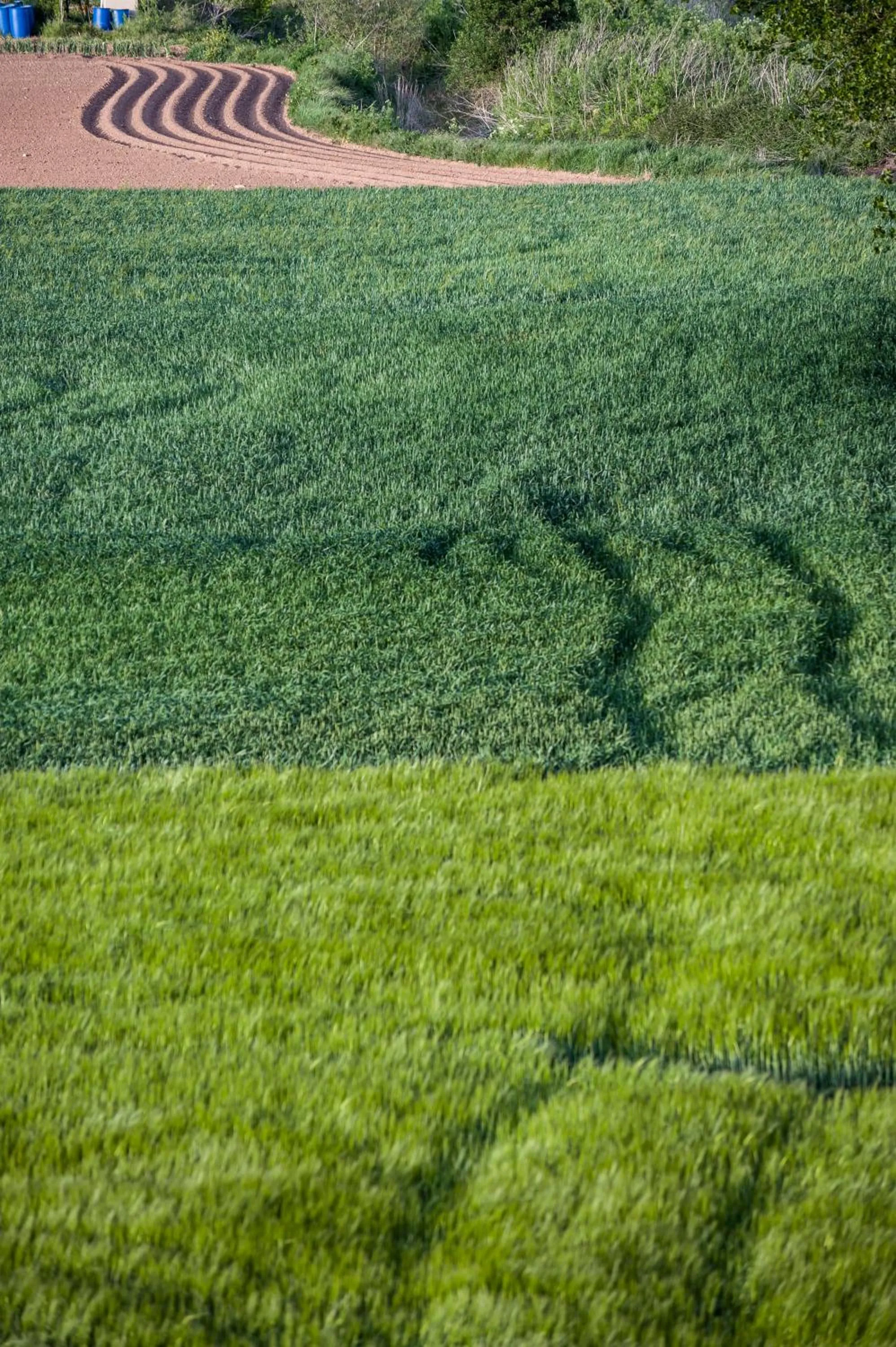 Natural landscape in Albergue turístico "La Fábrica"