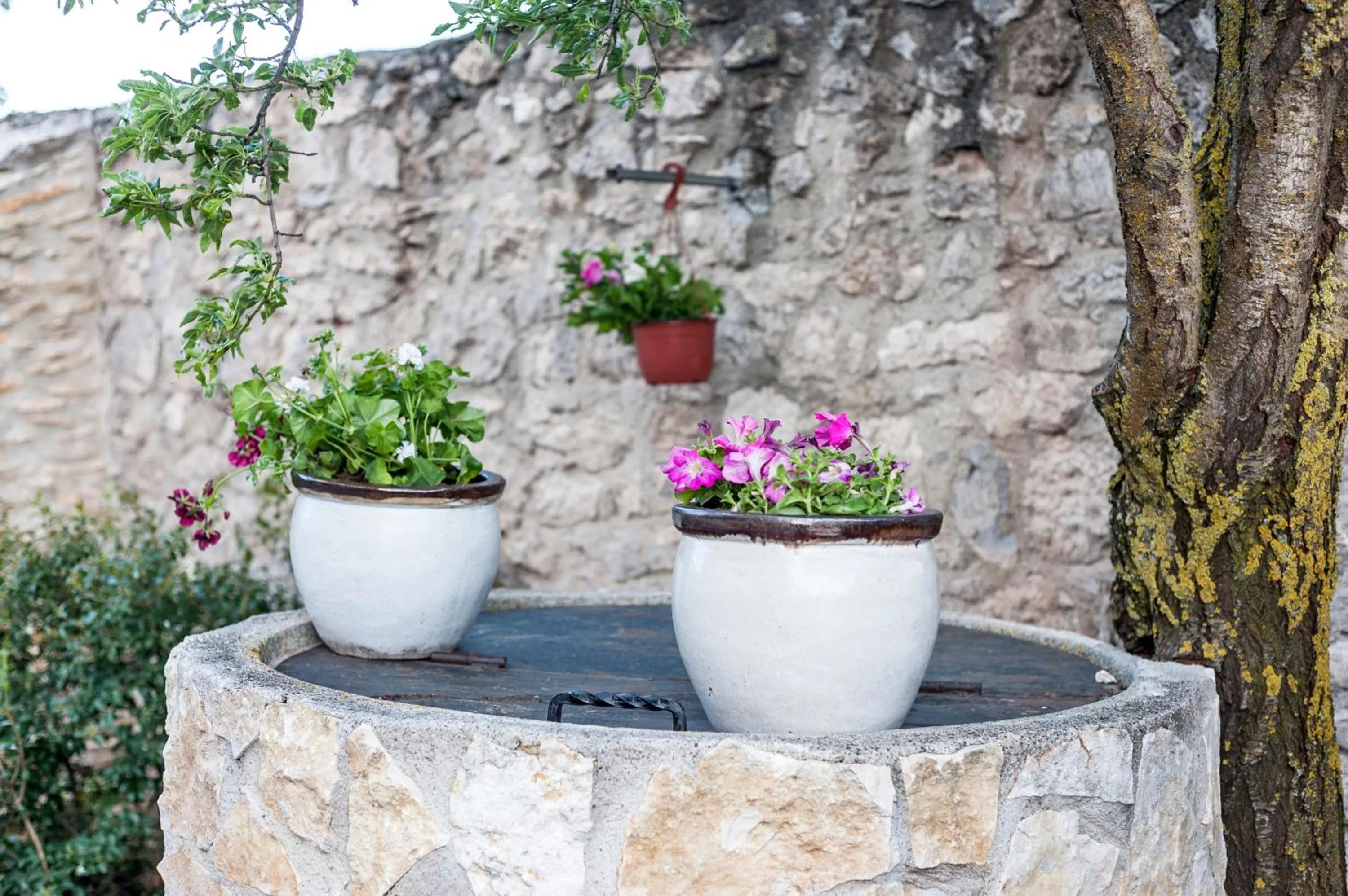 Garden in Albergue turístico "La Fábrica"