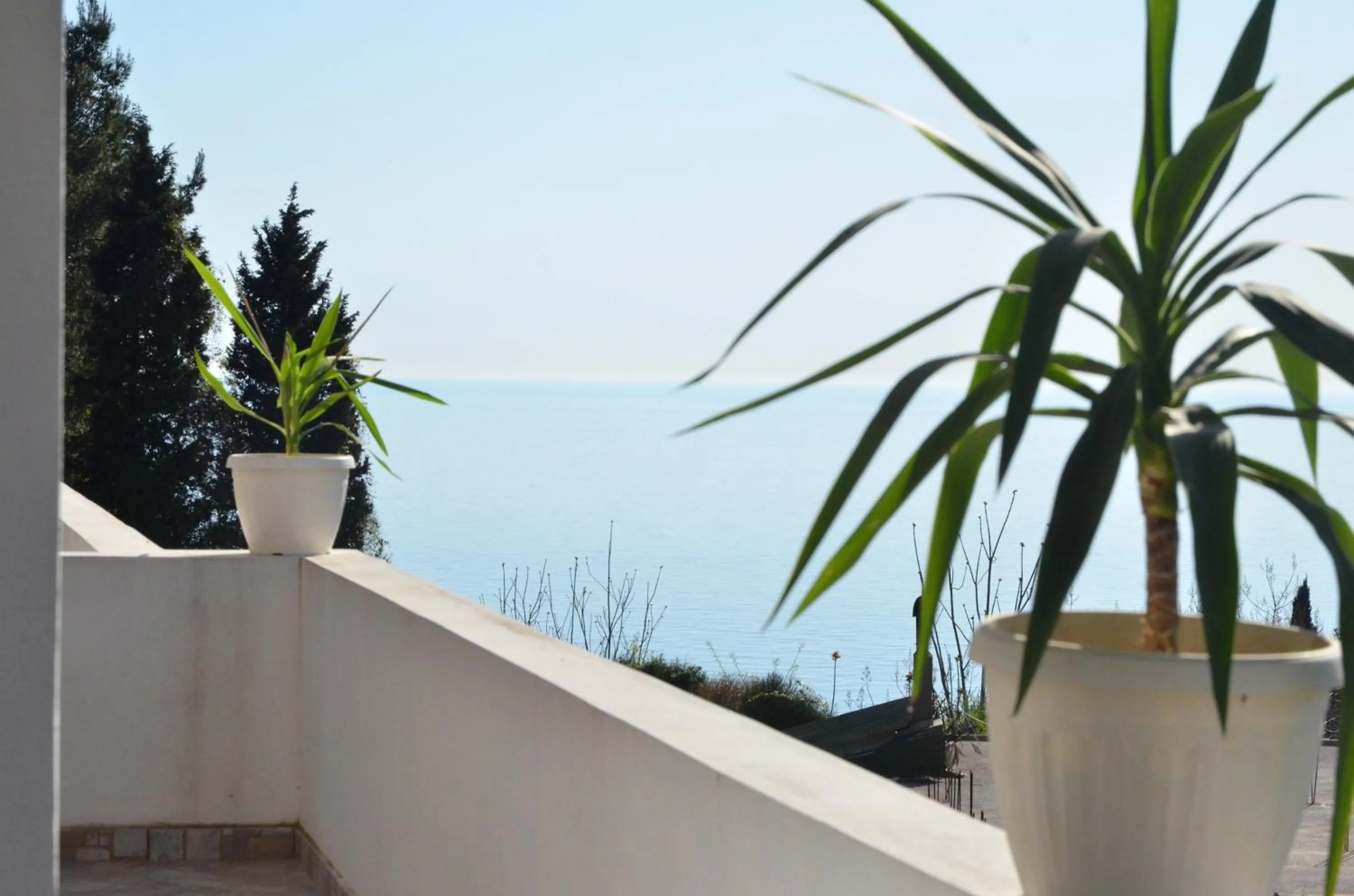Day in Apartments Casa Pineta