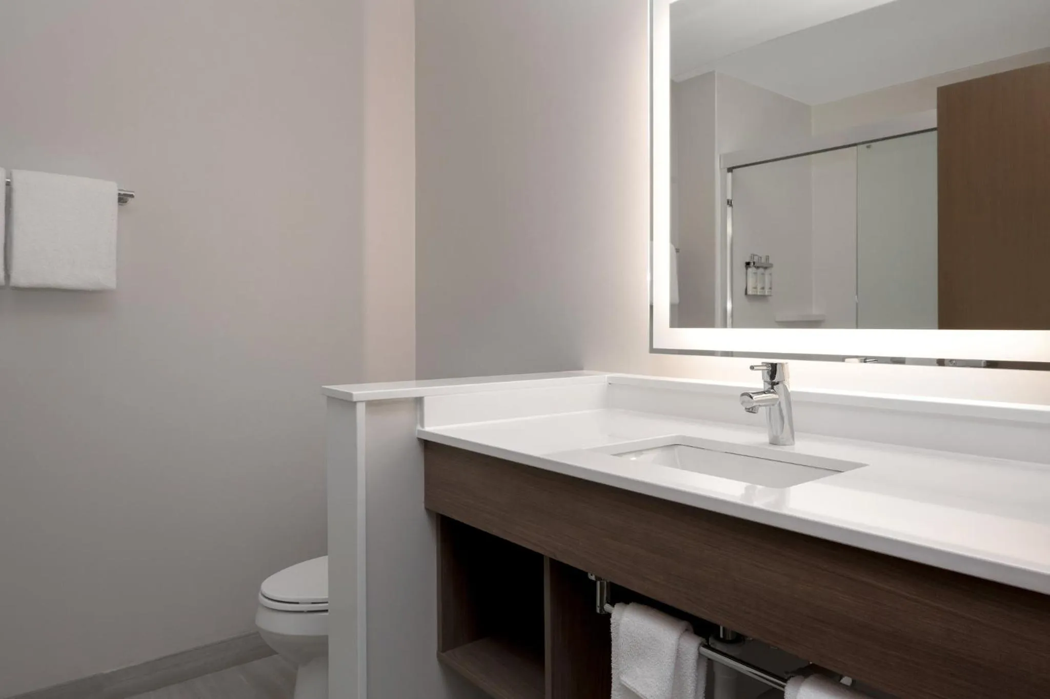 Bathroom in Holiday Inn Express & Suites Alton St Louis Area by IHG