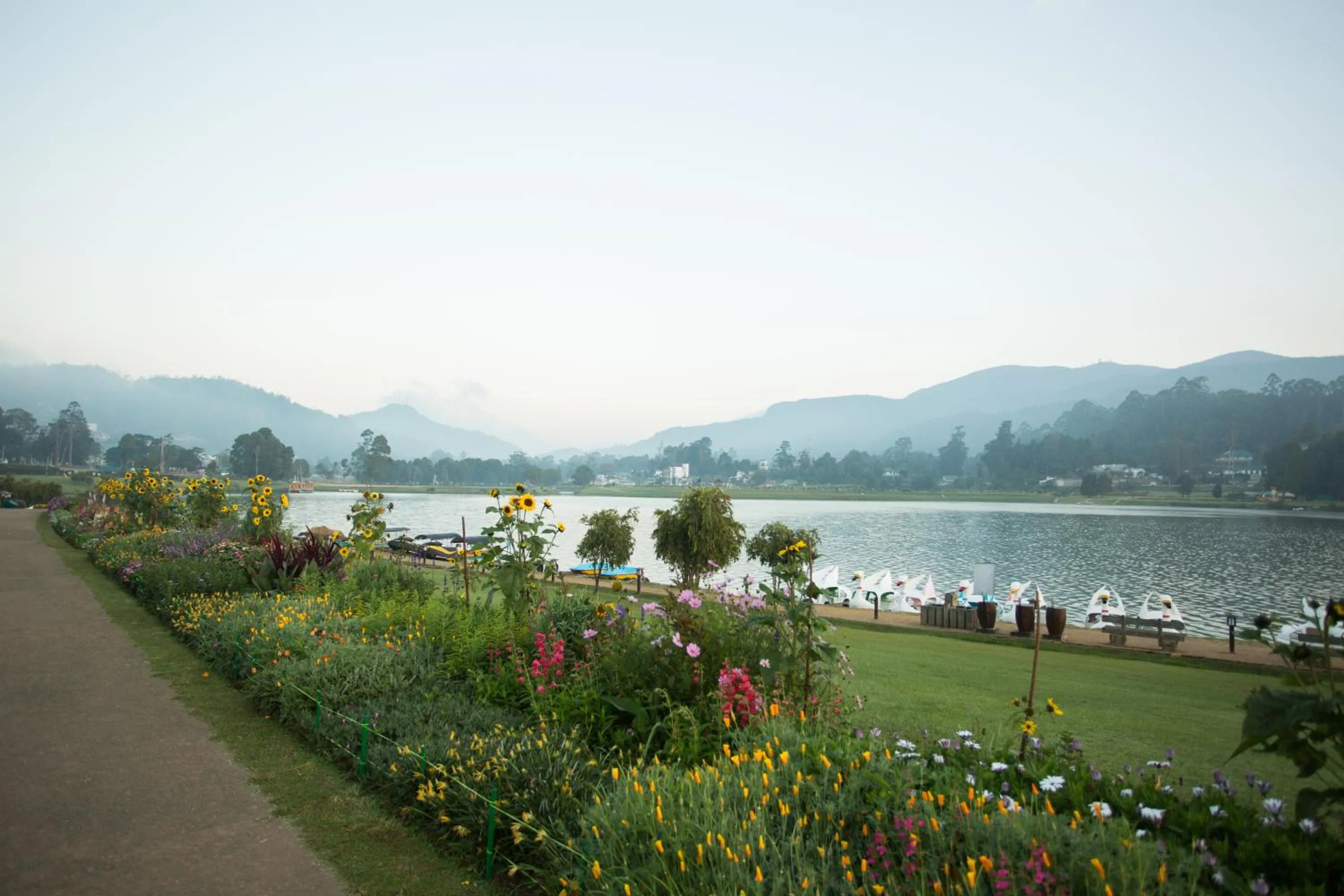 Nearby landmark in Heaven Seven Nuwara Eliya