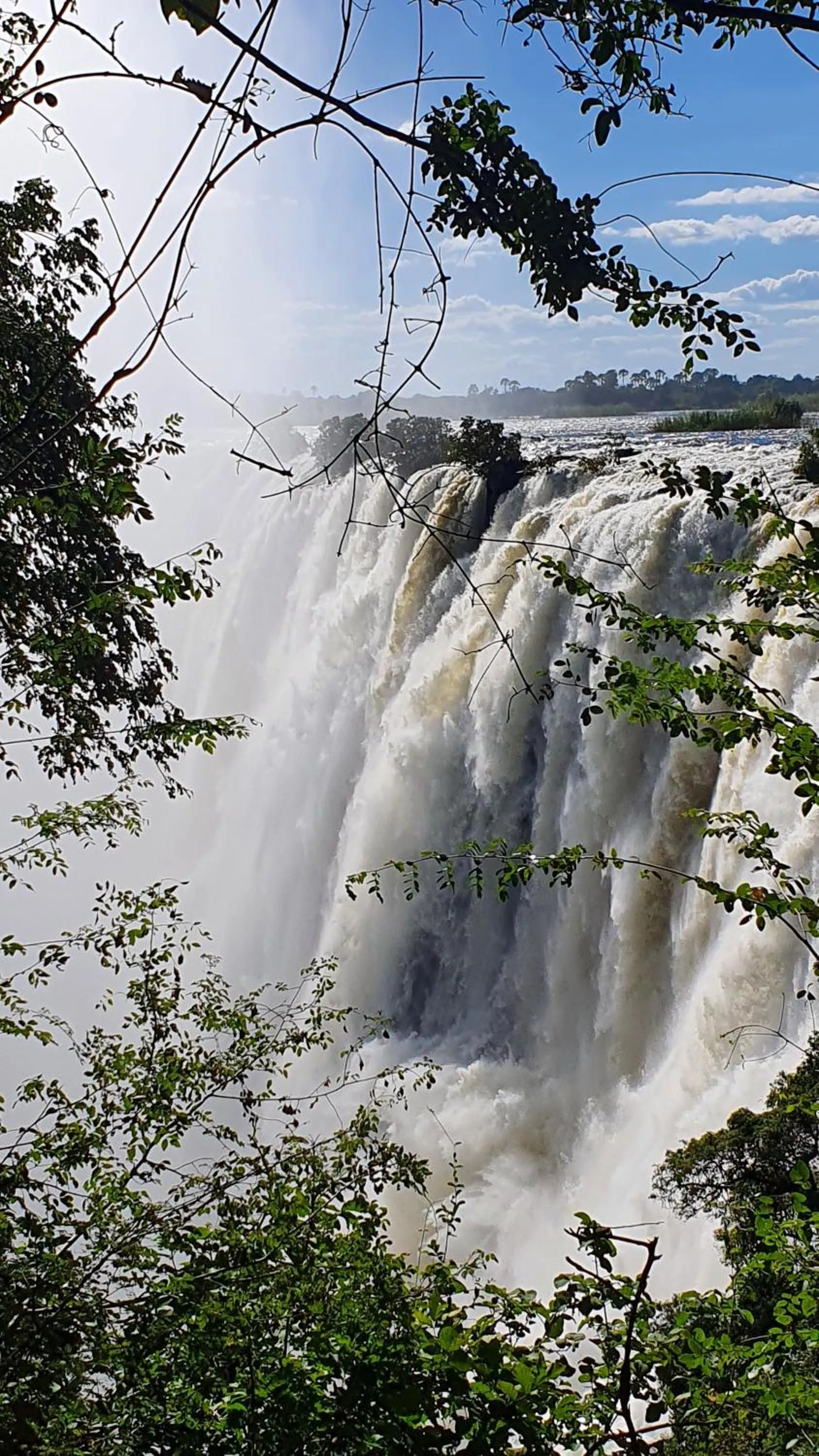 Natural landscape in Maramba River Lodge