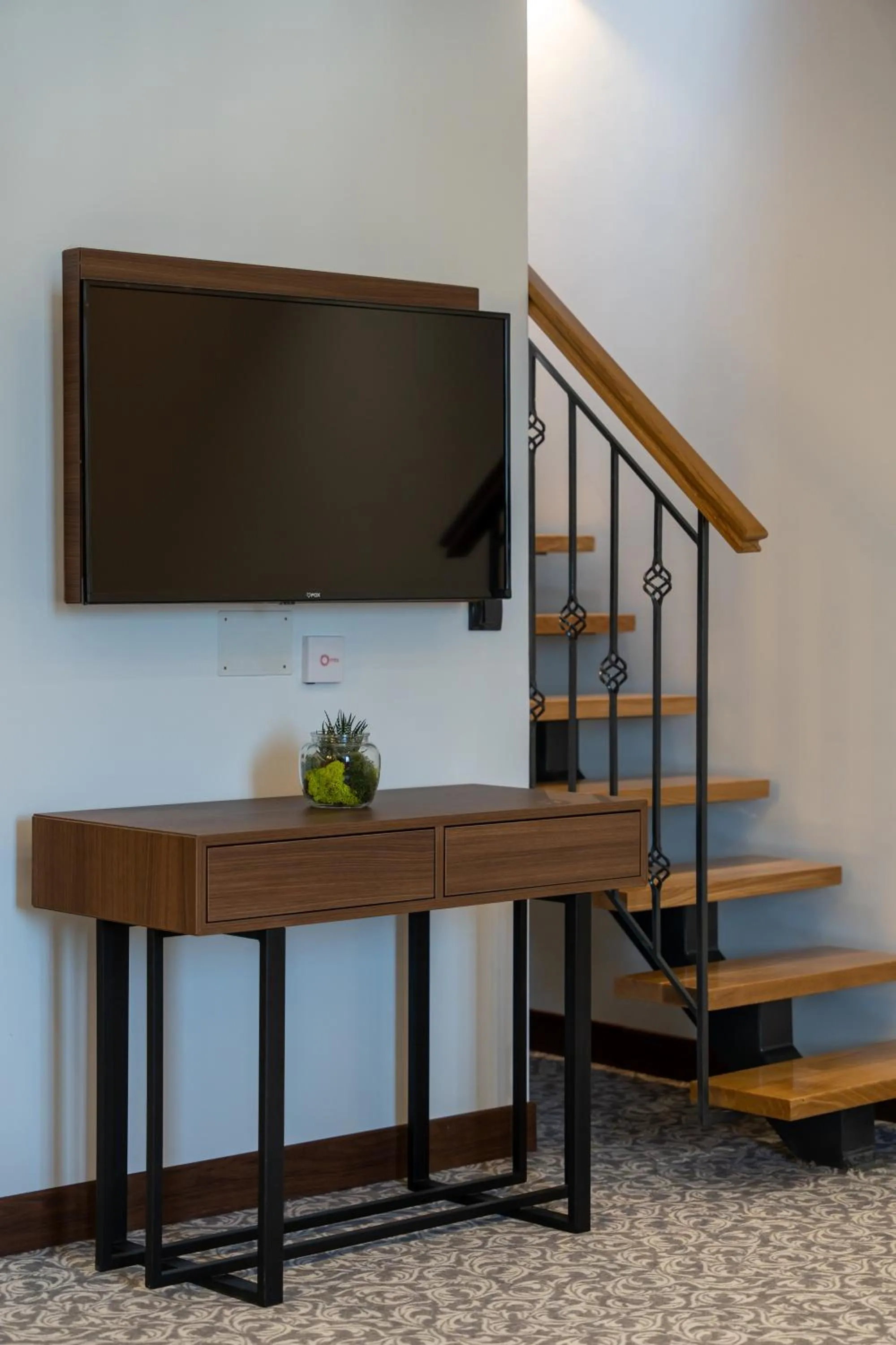 TV and multimedia in Queen of Zlatibor