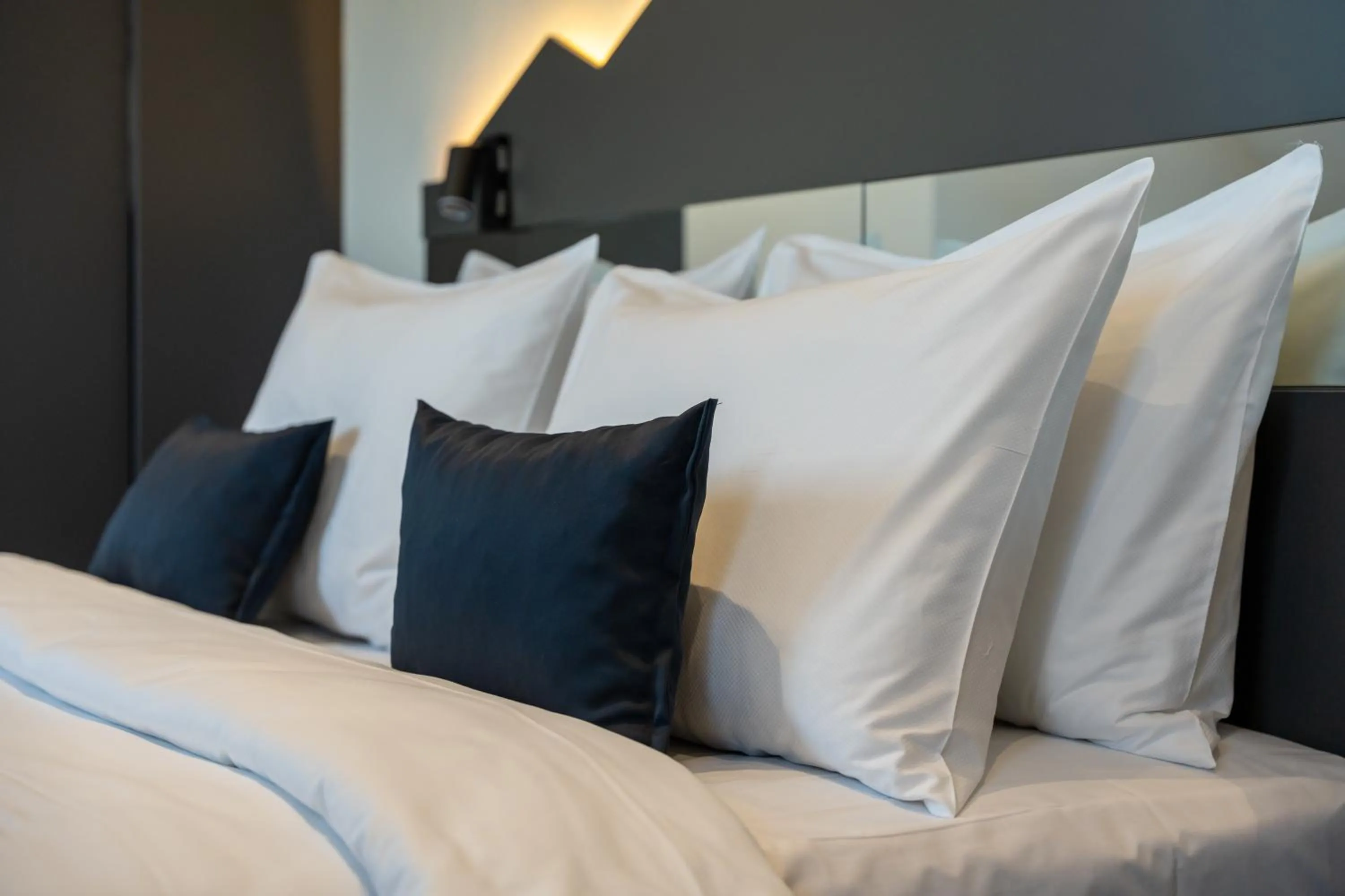 Bed in Queen of Zlatibor