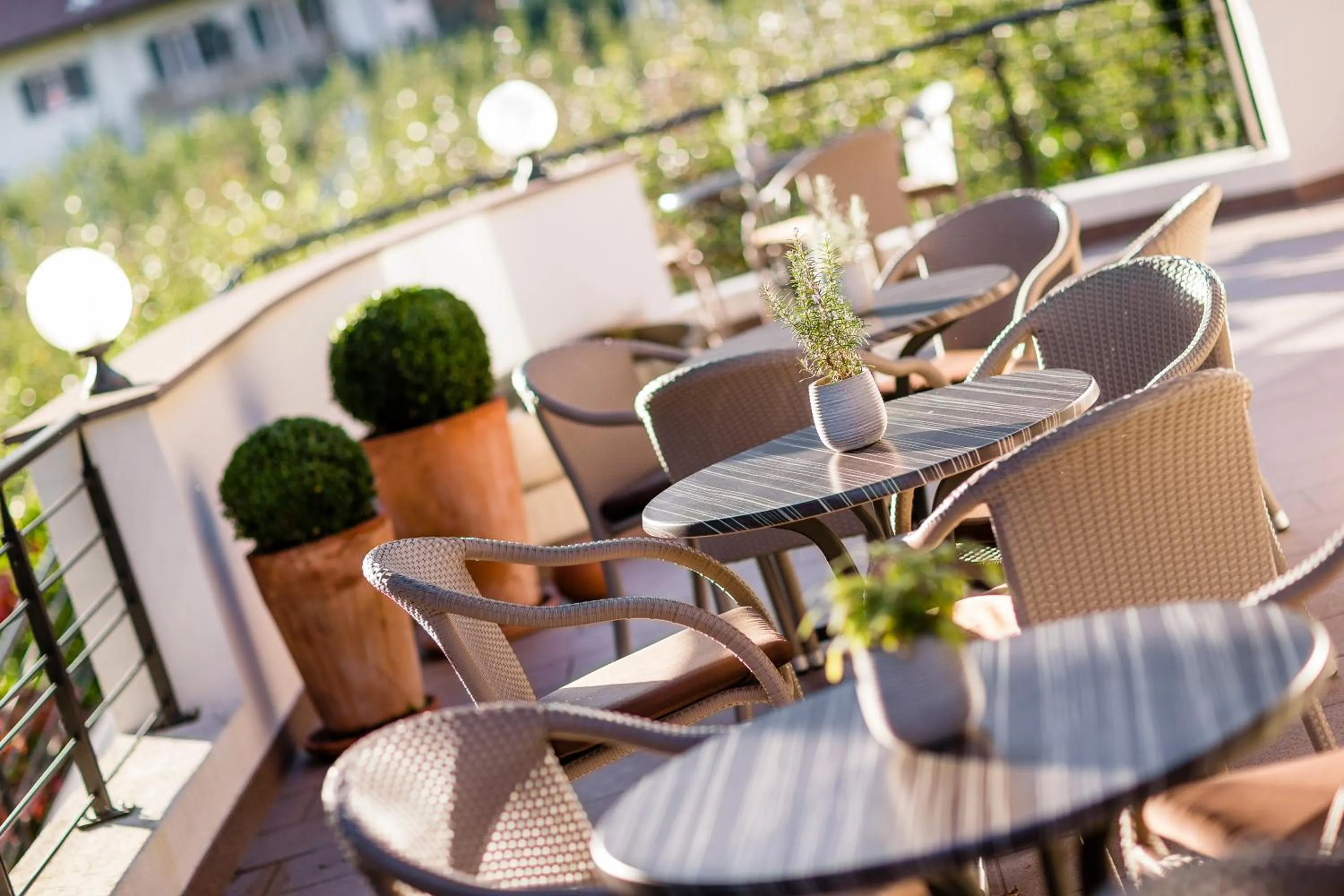 Balcony/Terrace in Garni Hotel Am Meilenstein