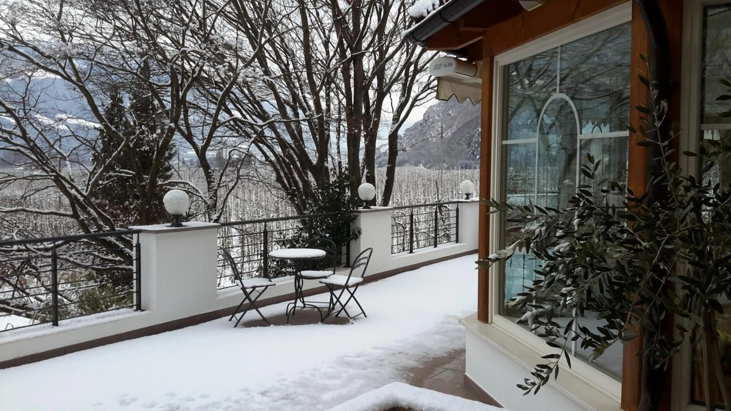 Balcony/Terrace in Garni Hotel Am Meilenstein