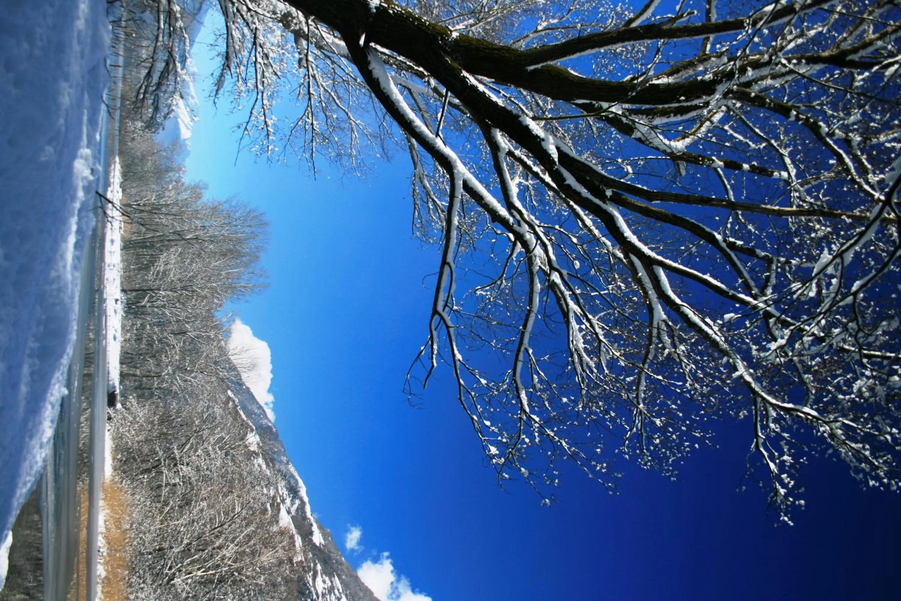 Natural landscape in Garni Hotel Am Meilenstein