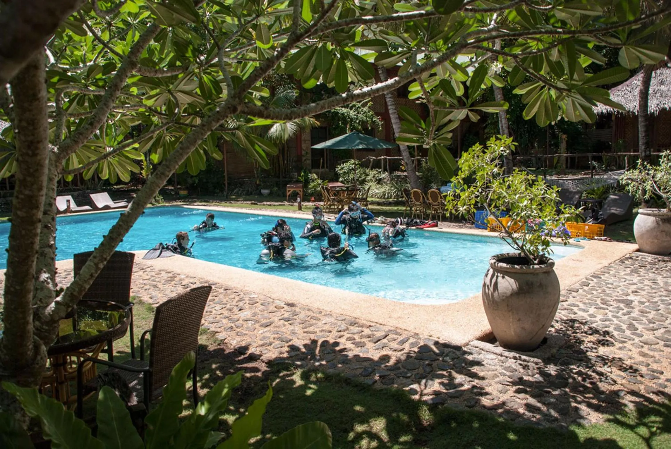Swimming pool in Oasis Resort