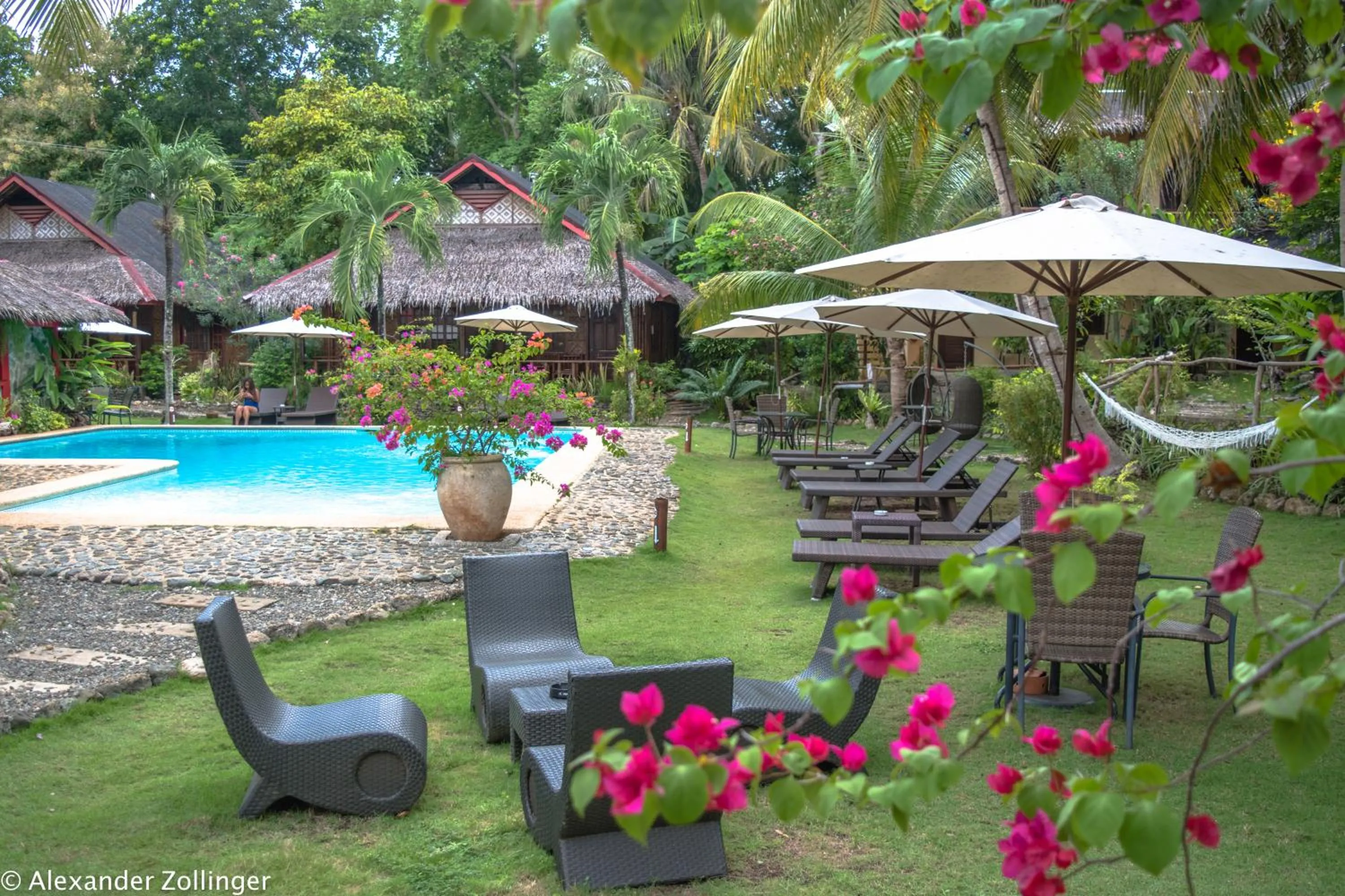 Swimming pool in Oasis Resort