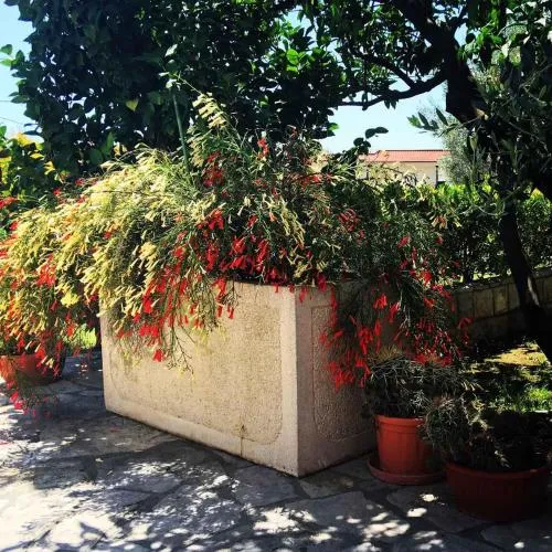 Apartments Medin Danilo