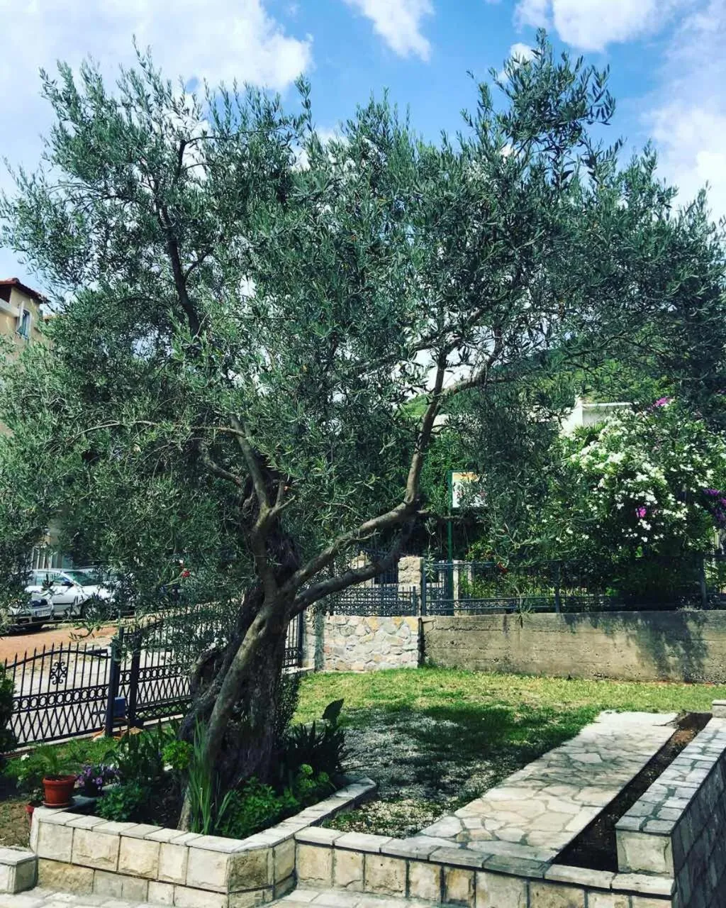Apartments Medin Danilo