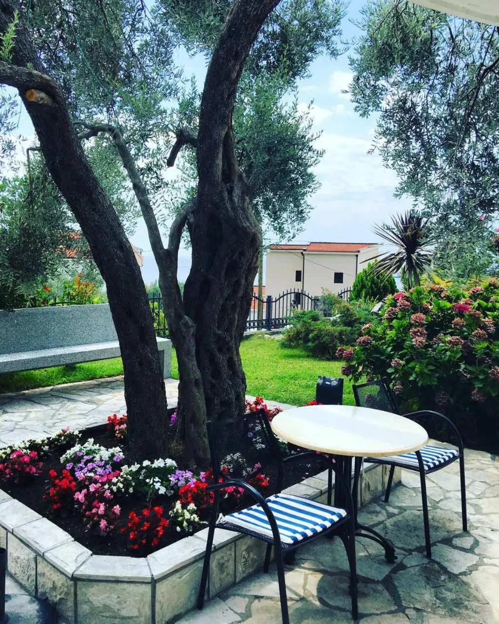 Apartments Medin Danilo