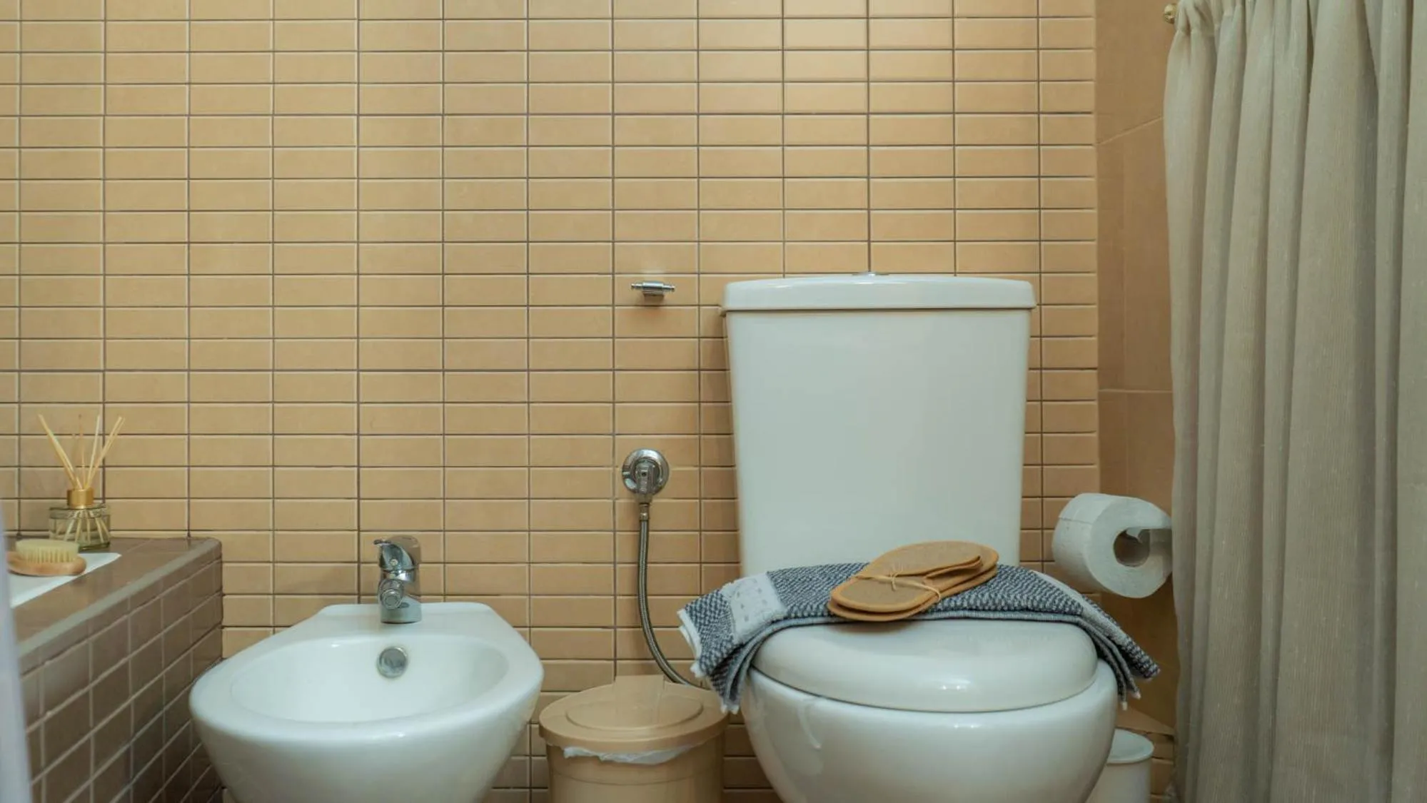 Toilet in Postmans Apartment Under Meteora