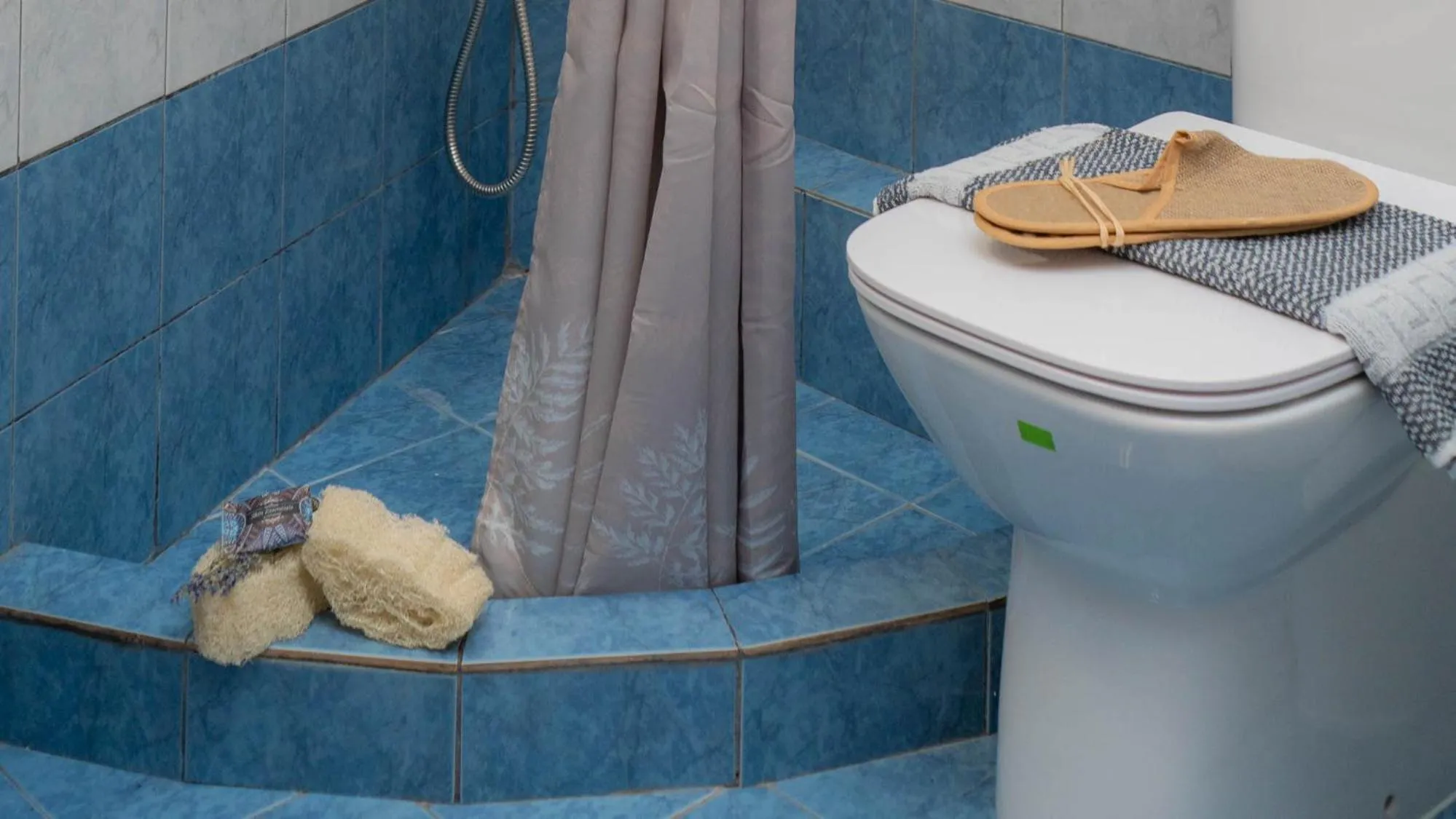 Toilet in Postmans Apartment Under Meteora