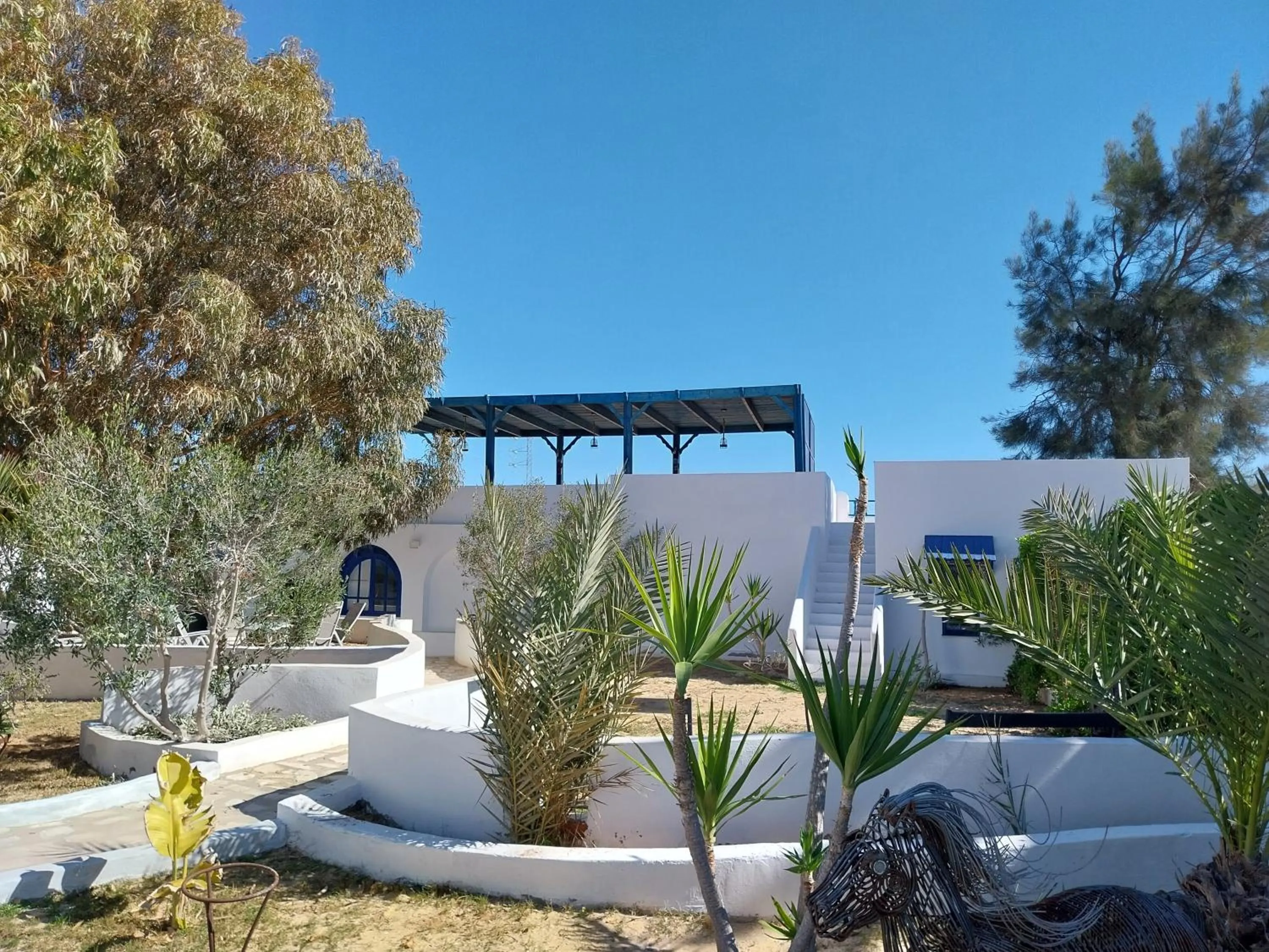 Garden in Tamalou Djerba