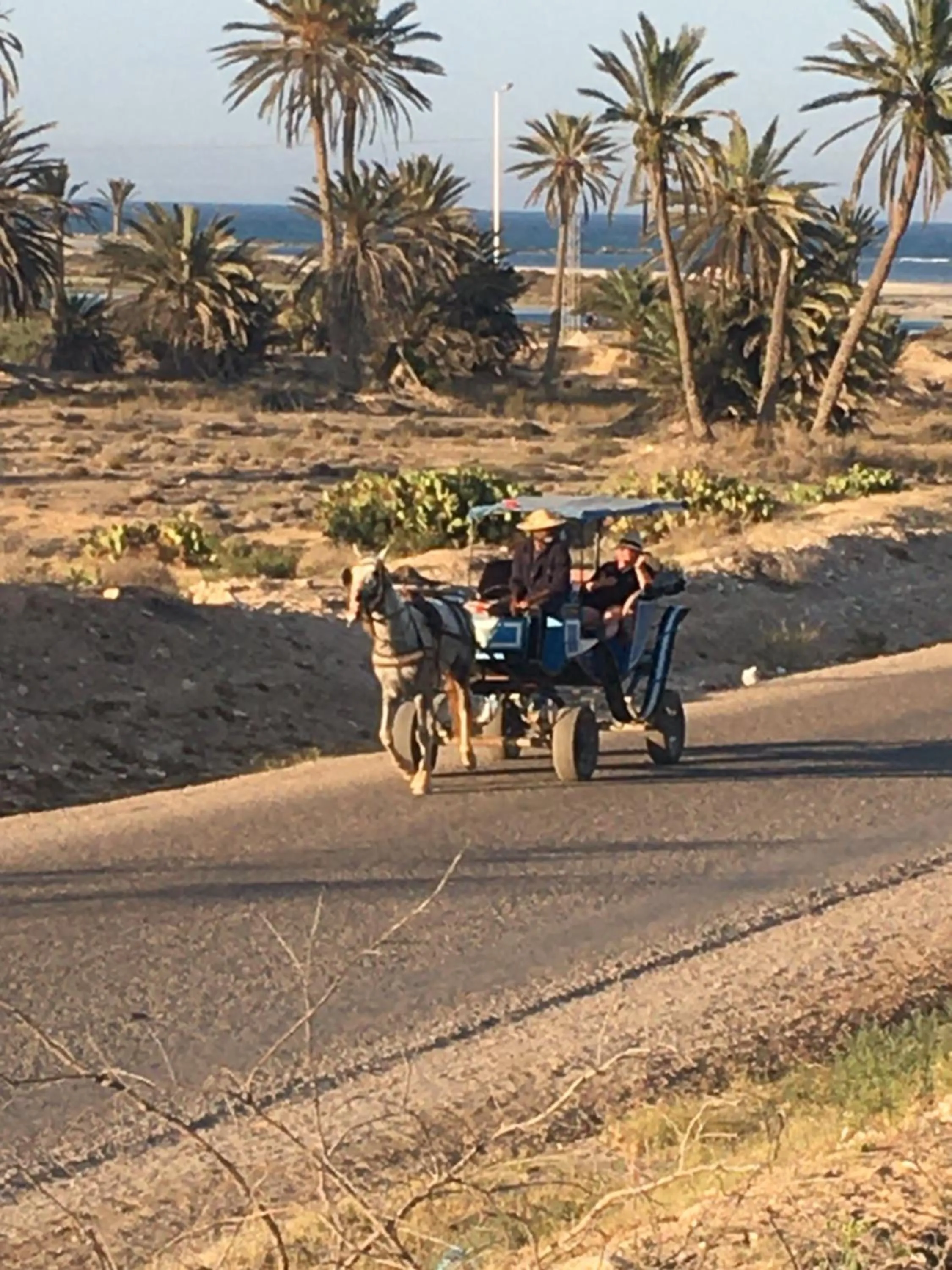 Tamalou Djerba